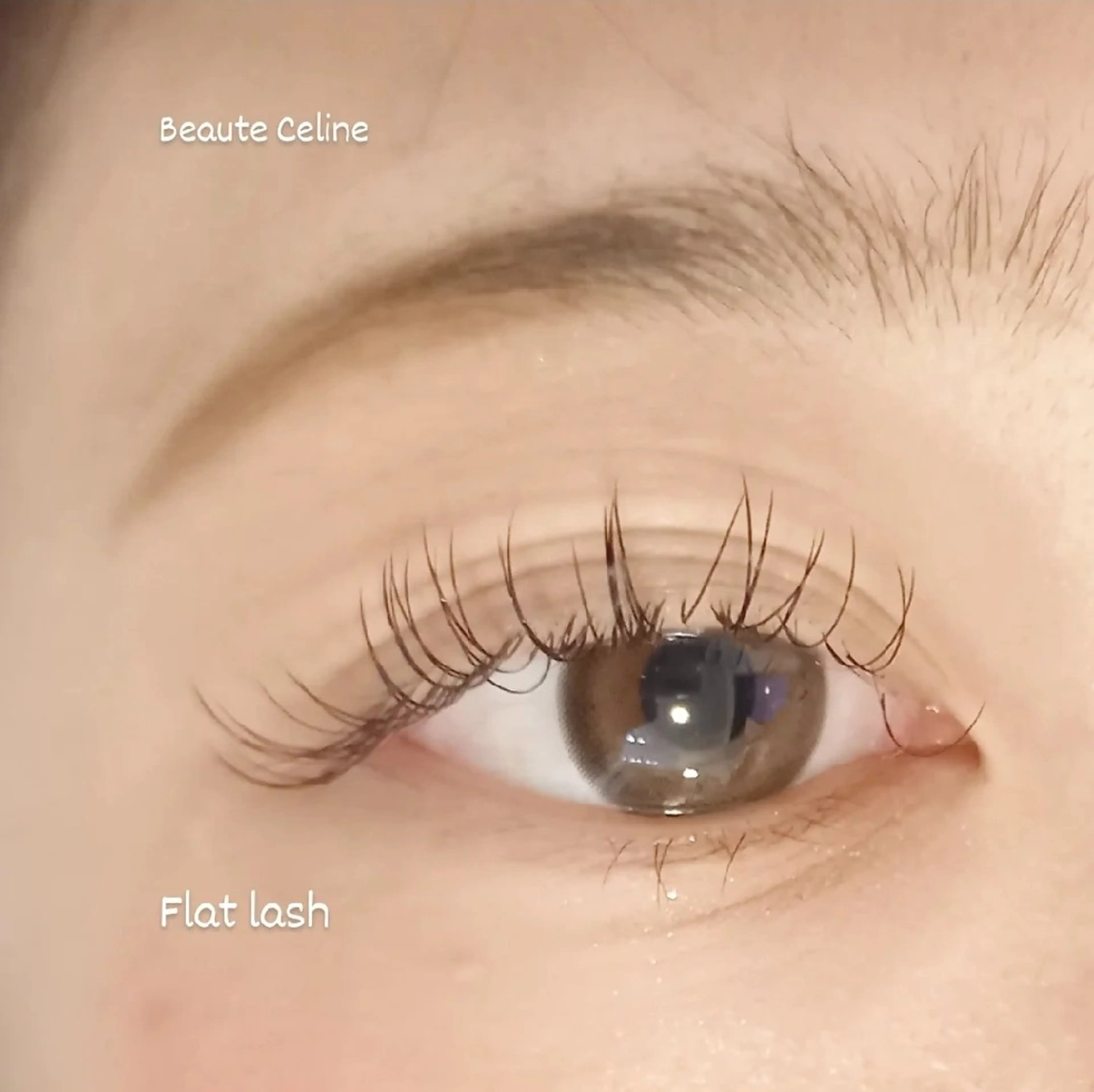 マツエク・マツパ マツエク beaute.celine所属・8時～✨beaute Celine🌛🌹のマツエク・マツパデザイン