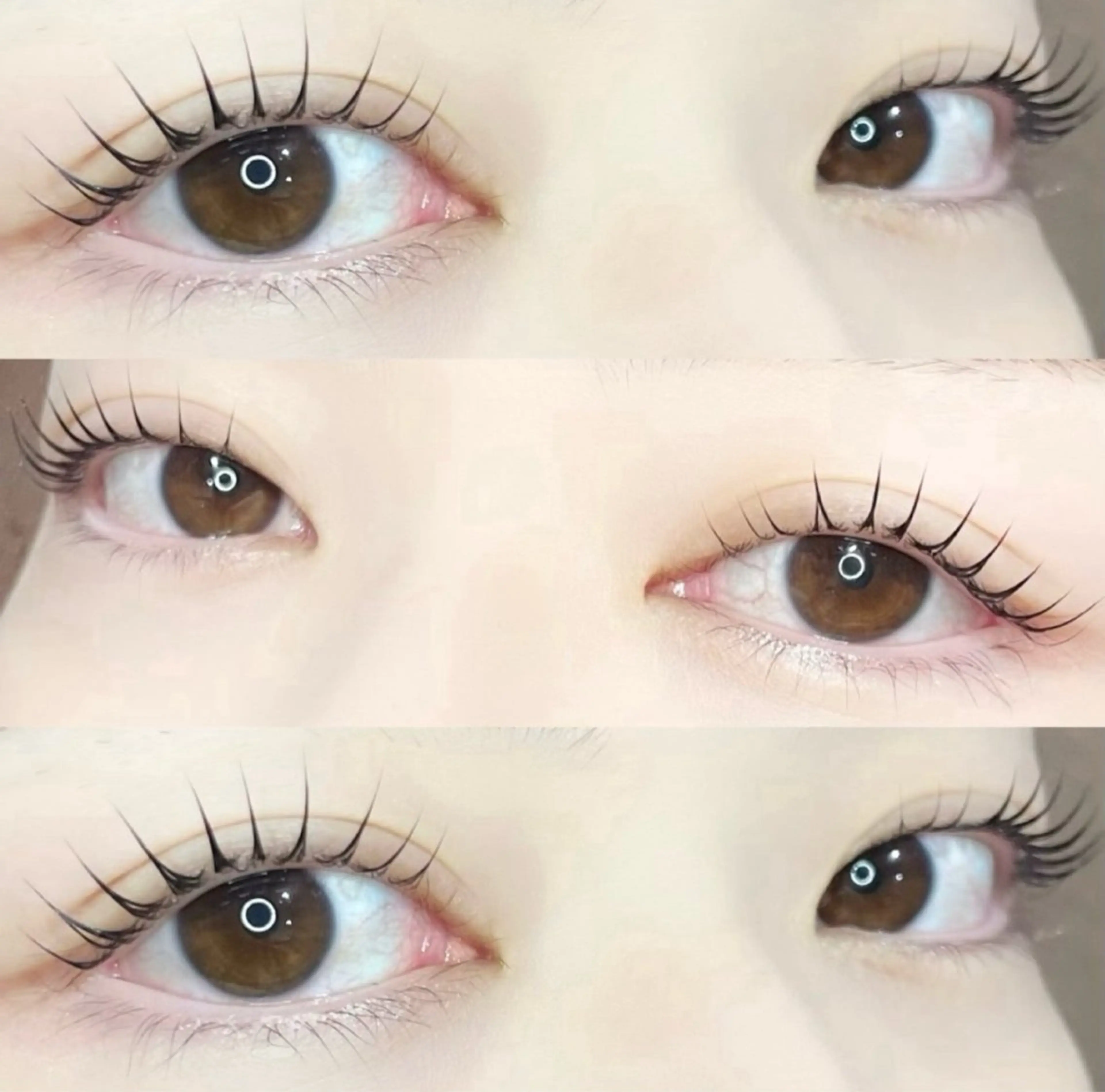 マツエク・マツパ マツパ 🦖fein. YUINA🦕⋆͛のマツエク・マツパデザイン