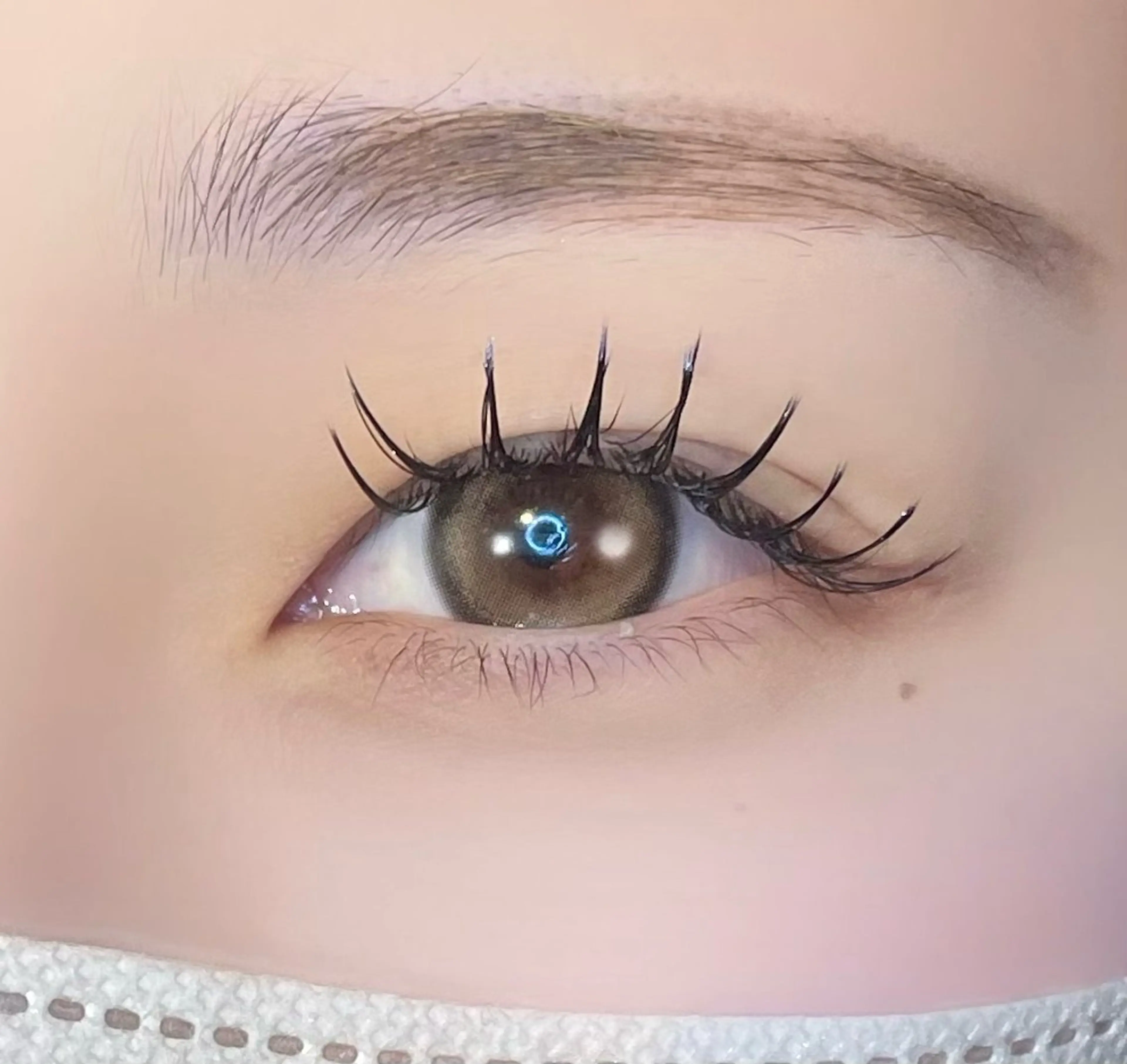 マツエク・マツパ マツエク まつパ/マツエク🤎 艶カラー/ゆり♡⃛のマツエク・マツパデザイン