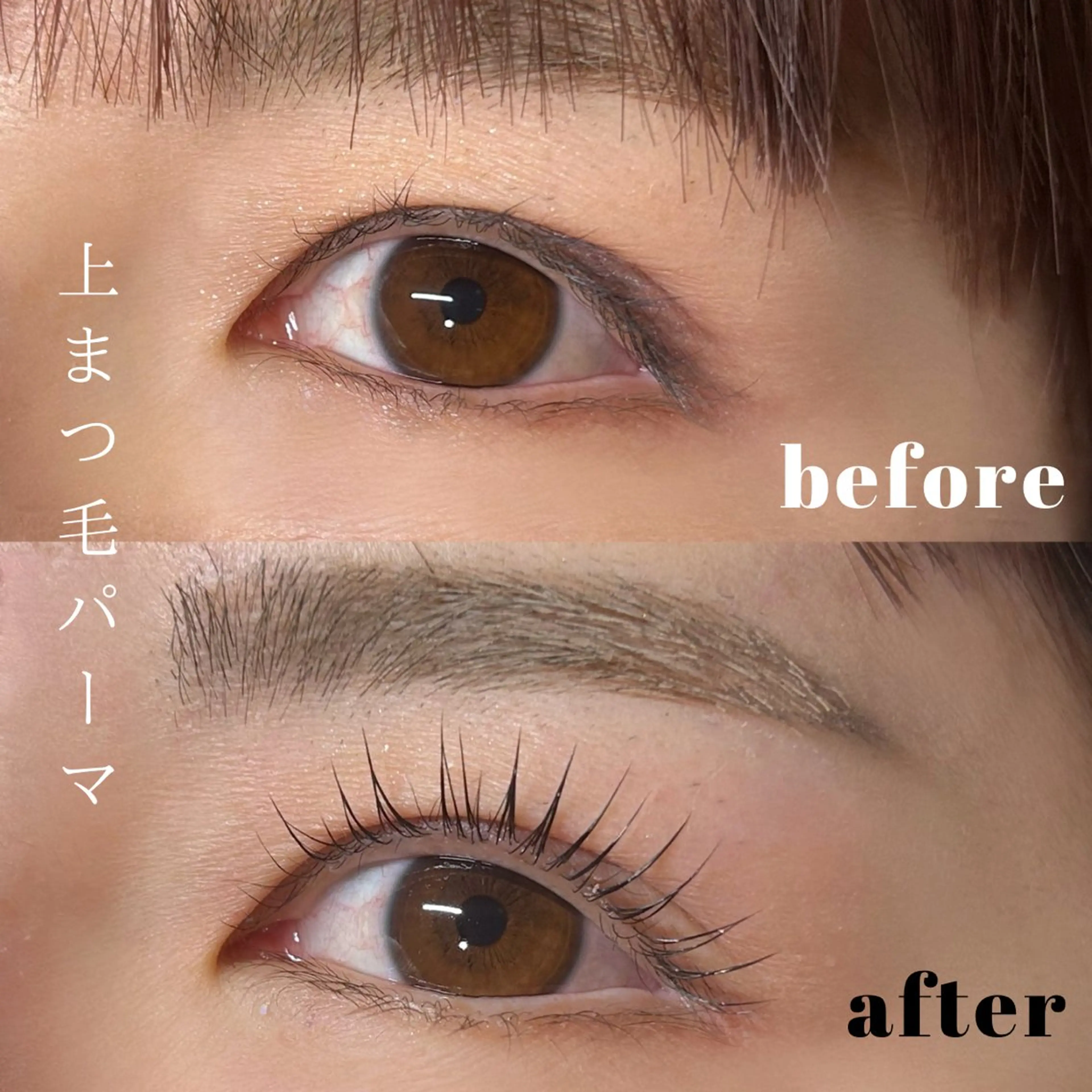 マツエク・マツパ times salon所属・ボウ🪞ヘアセット /マツパ/眉毛のヘアスタイル