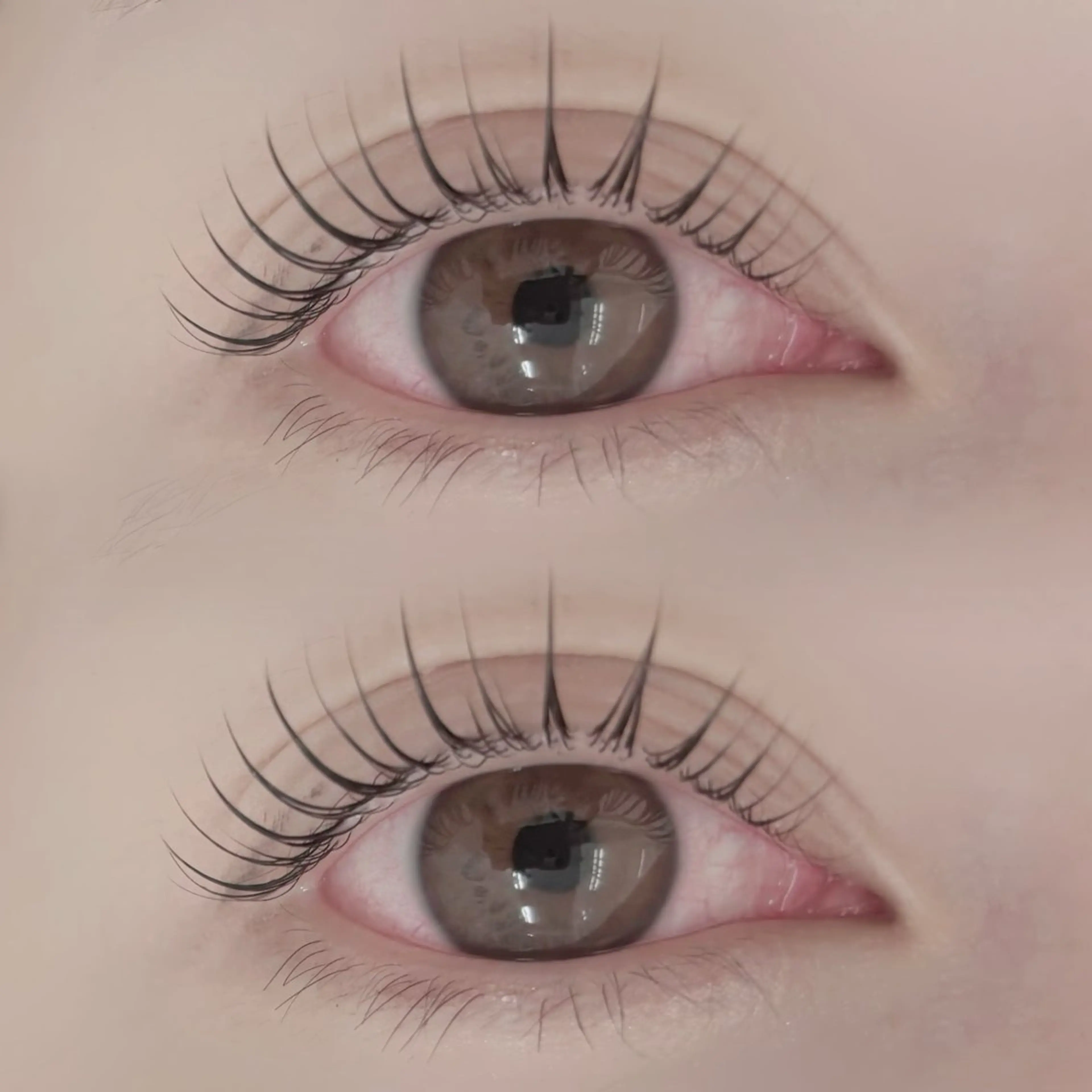 まつげパーマ+高濃度浸透型サロン専用まつげトリートメントの写真
