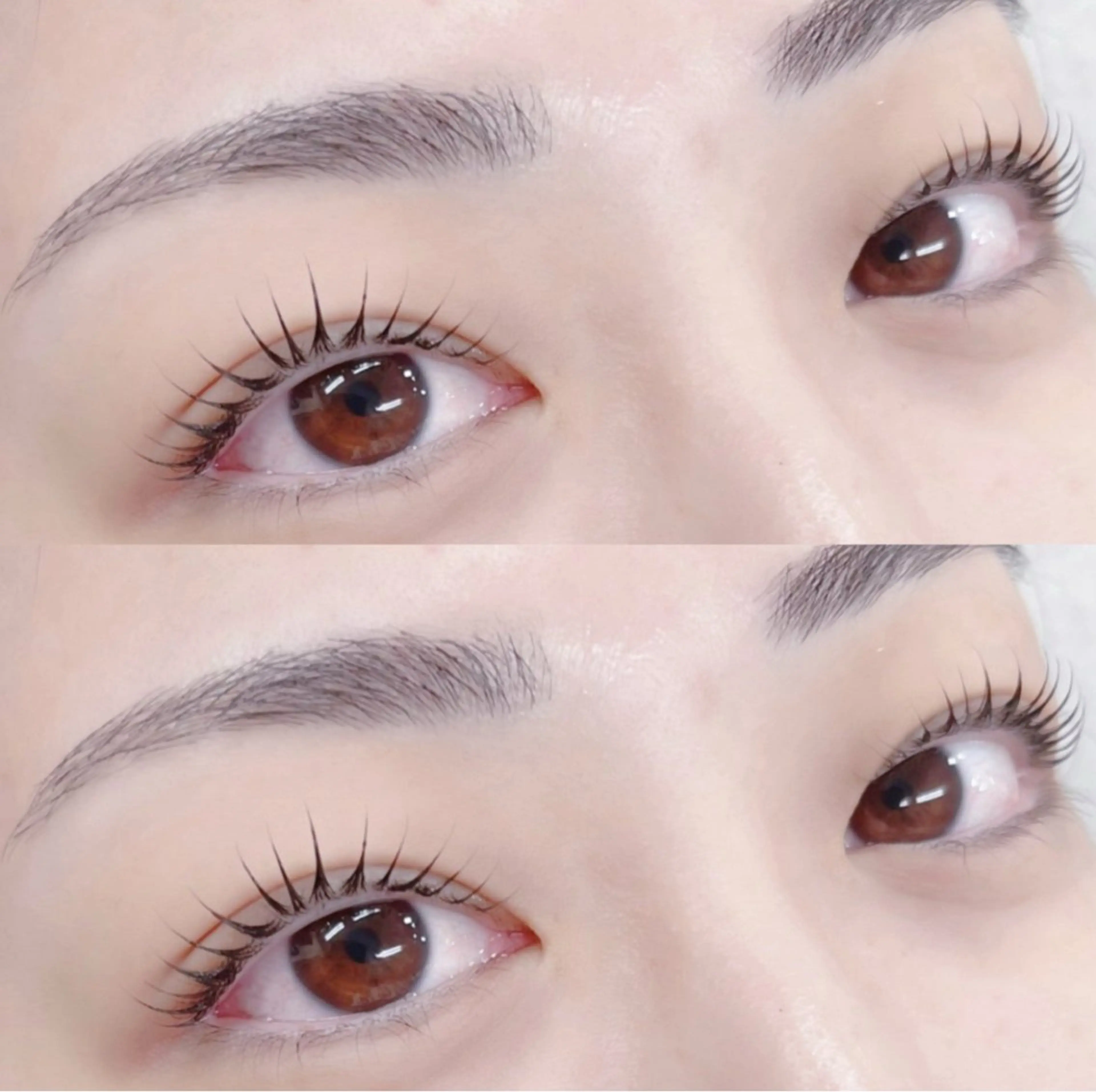 話題☆マスカラパーマ🎶まつげパーマ上のみ＋ブラックティント🎱の写真