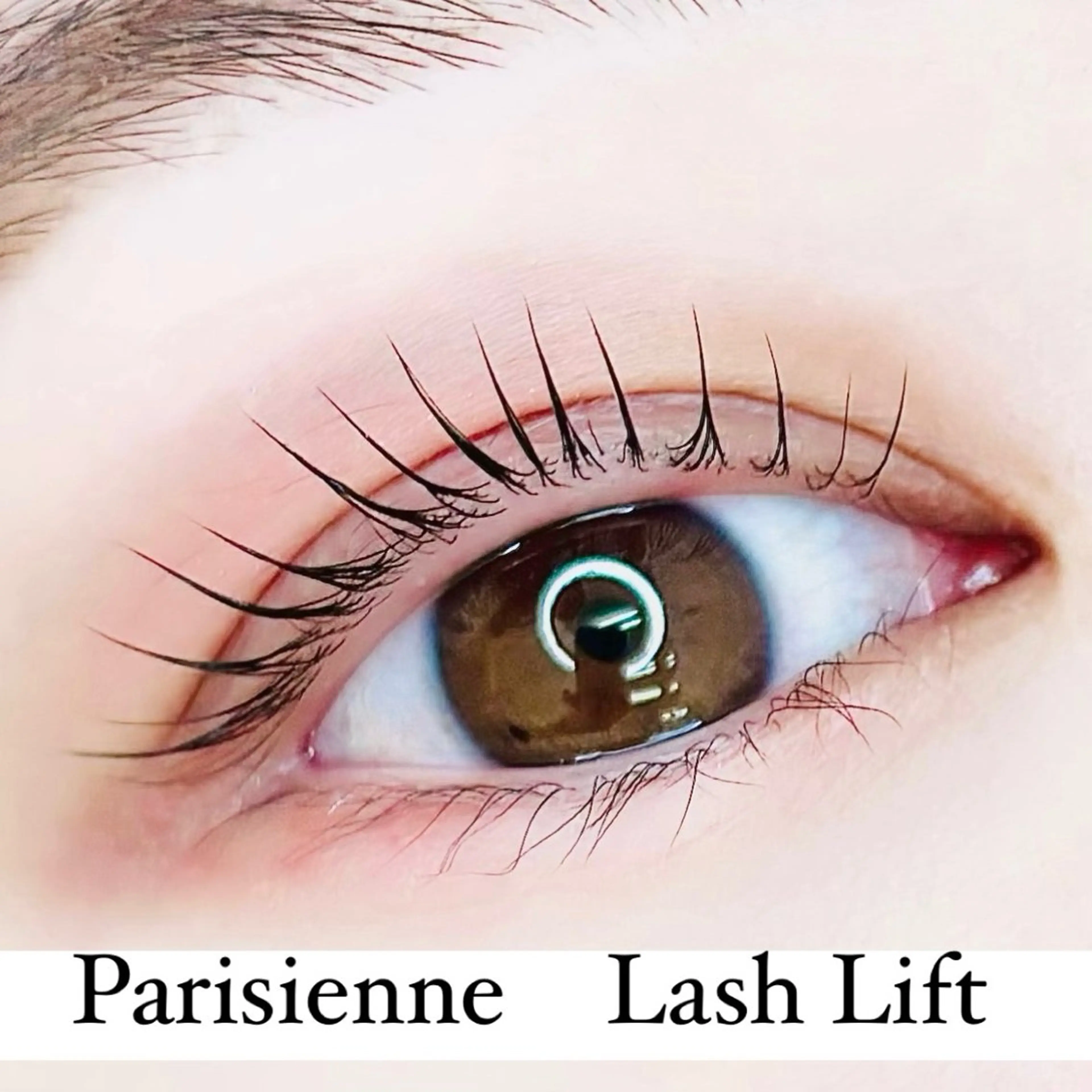 マツエク・マツパ パリジェンヌラッシュリフト まつげパーマ IVY-NUE HITOMIのマツエク・マツパデザイン