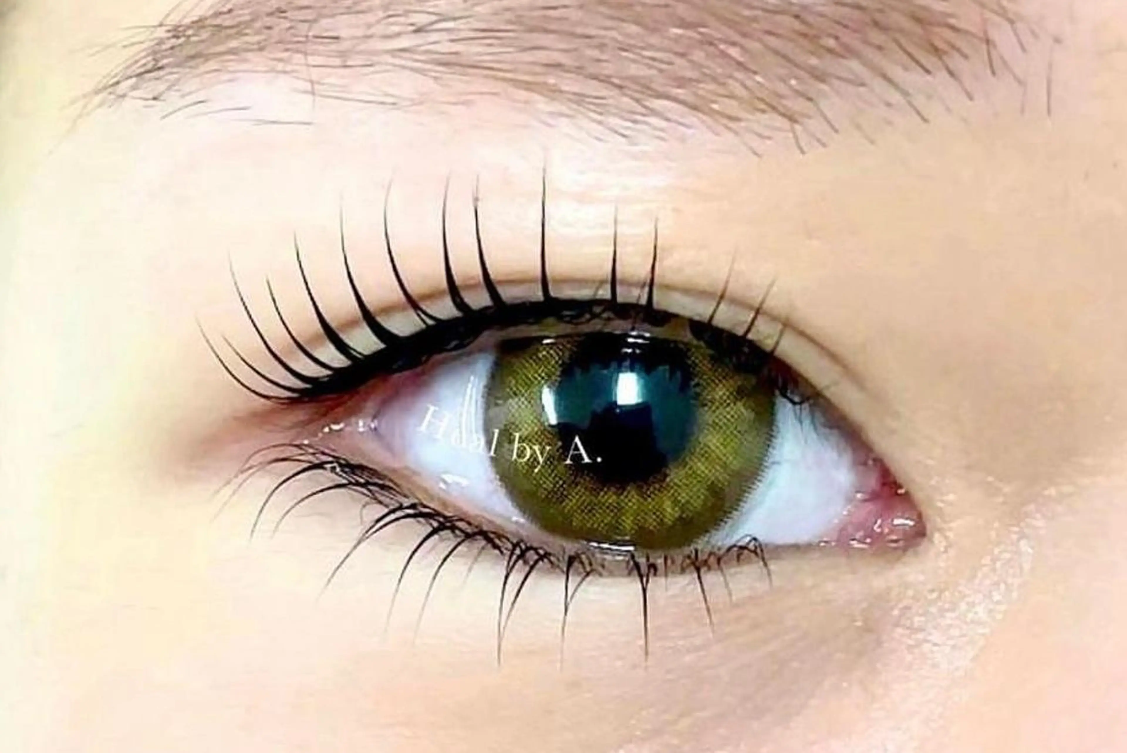 撮影モデル特別価格🎀上下まつげパーマ・LASHLIFT・パリジェンヌの写真