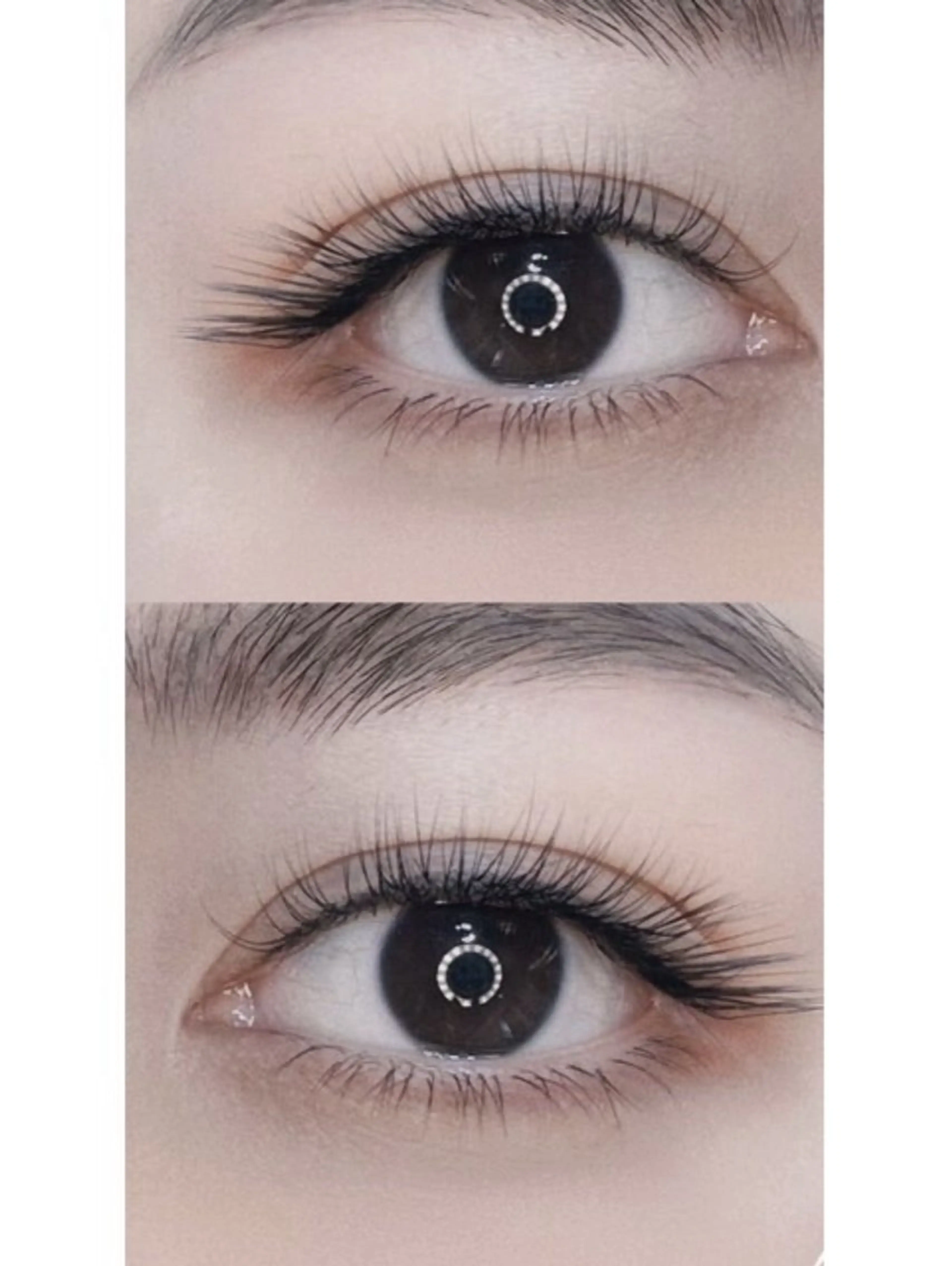 🐈🐱❤️【猫系】上120本/⭐︎オフありの方は予約する時にお声掛けください🥰の写真