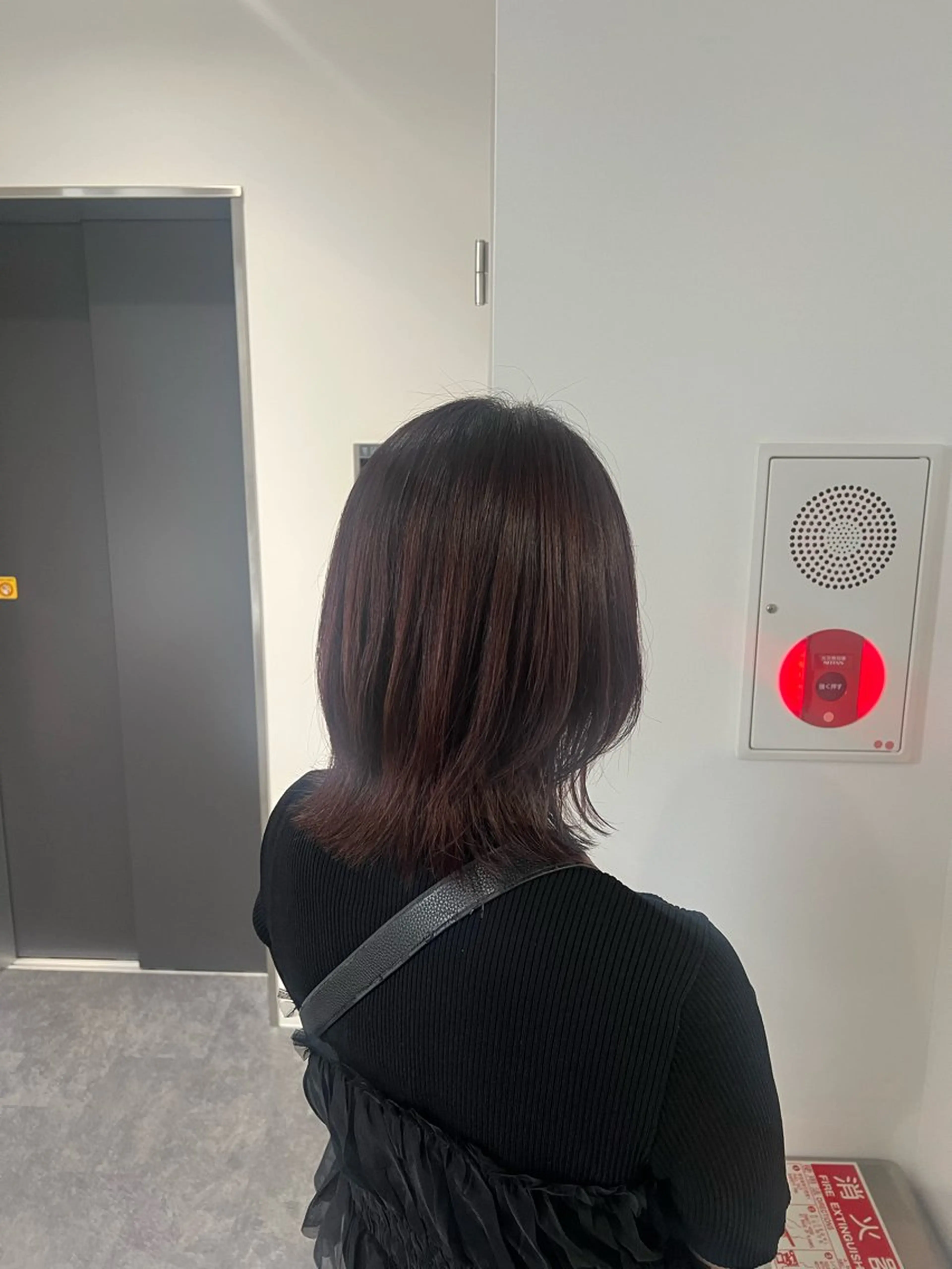 ミディアム レイヤーカット ひなた-YUCCA- elua⭐️のヘアスタイル