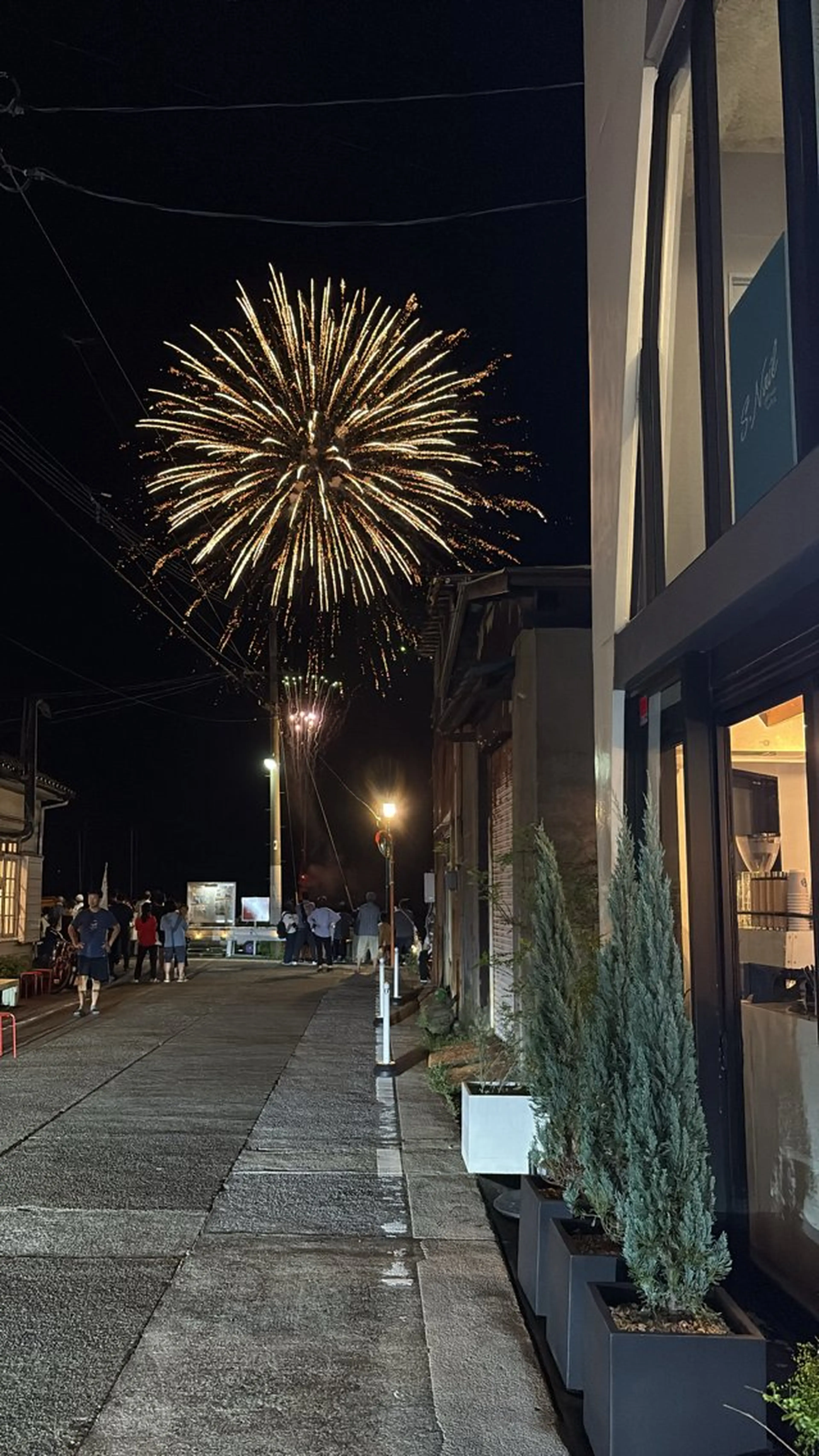 Private Salon S.Nail所属・S.Nail 🪸.:*・°のネイルデザイン