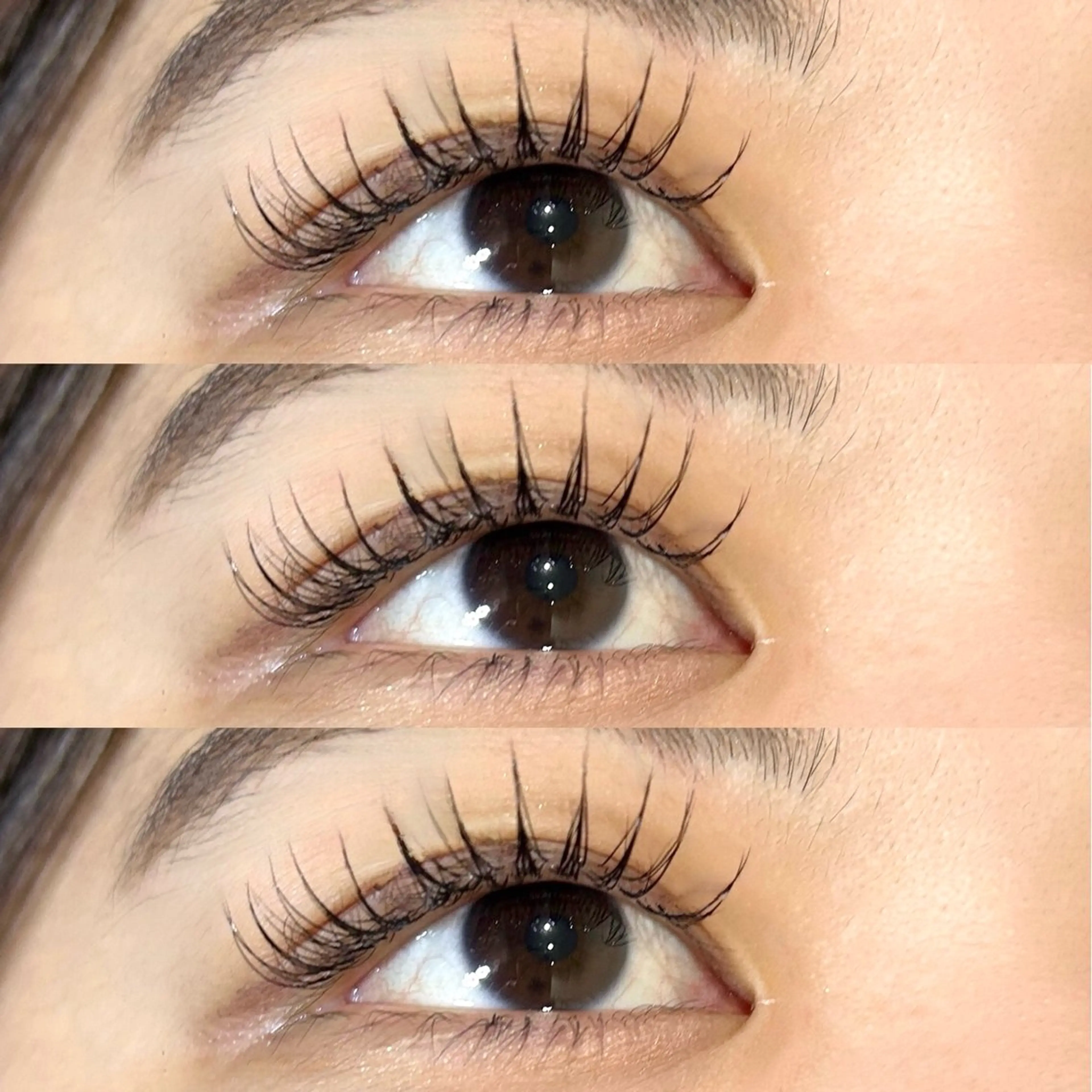 【ミニモ学割🌸U24】まつ毛エクステ120本まで🍋（シングルラッシュ）の写真