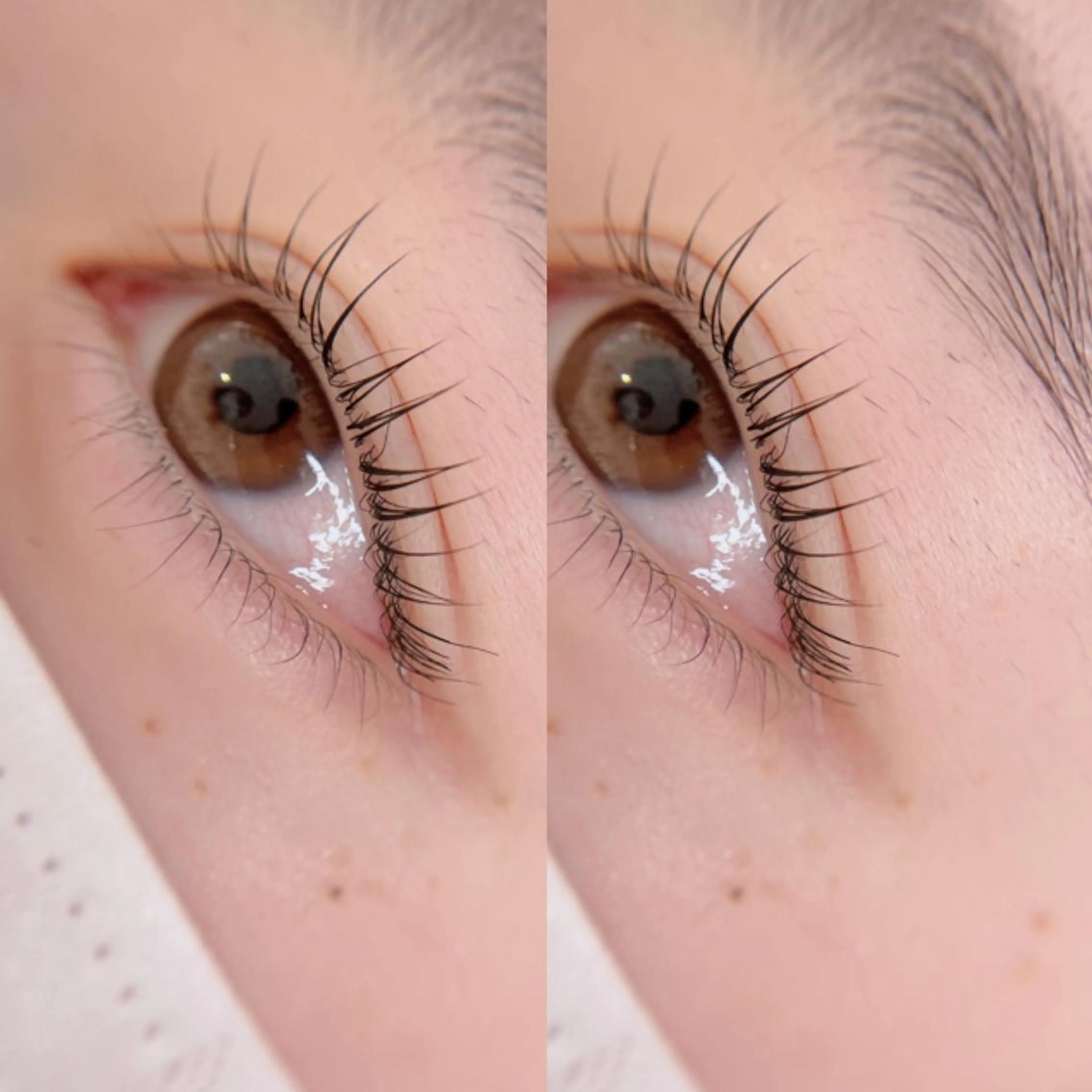 マツエク・マツパ ［LUNA］EYE ⏾ EYEBROWのマツエク・マツパデザイン