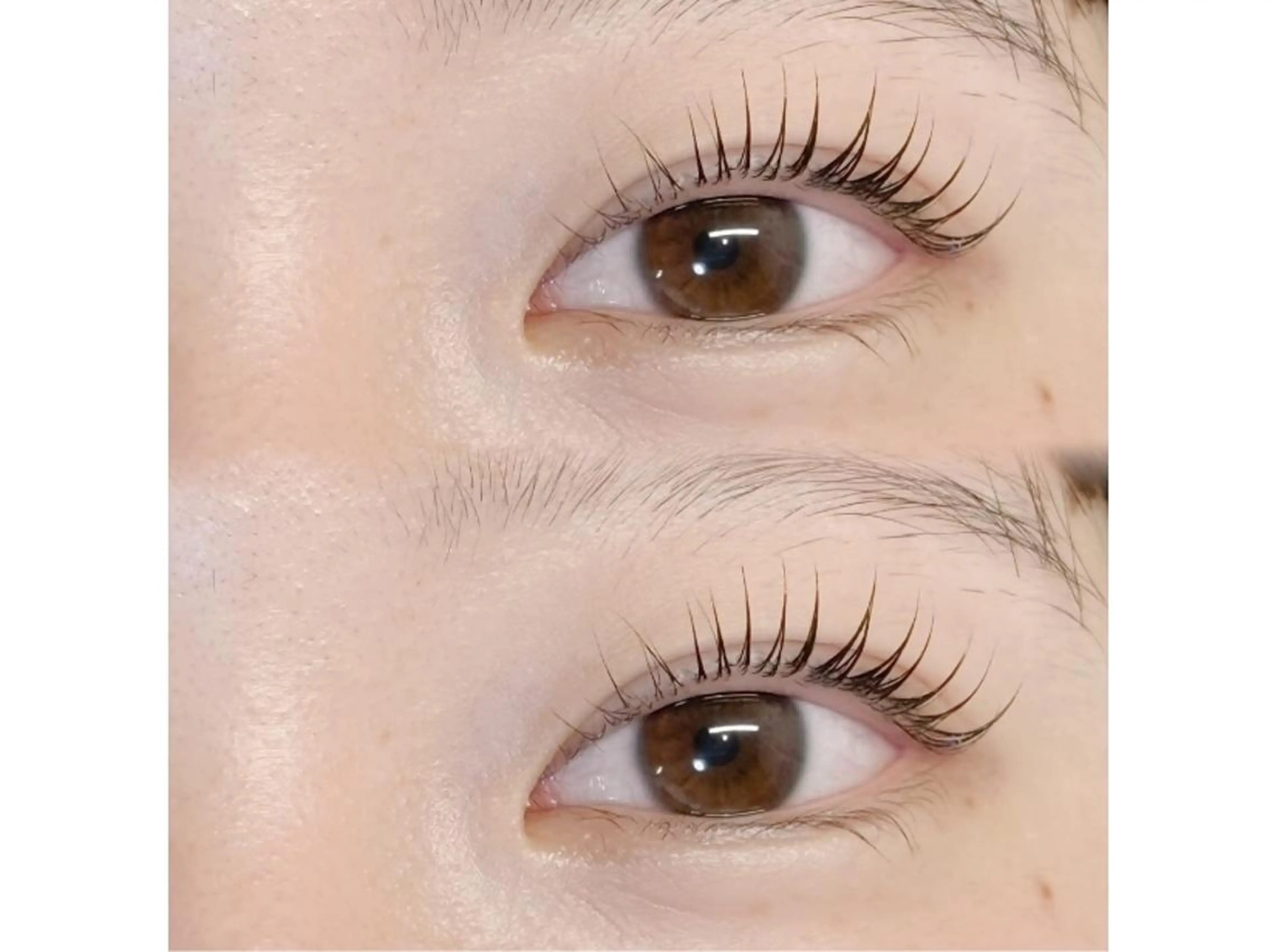 🌸ゆるふわまつ毛パーマ上のみの写真