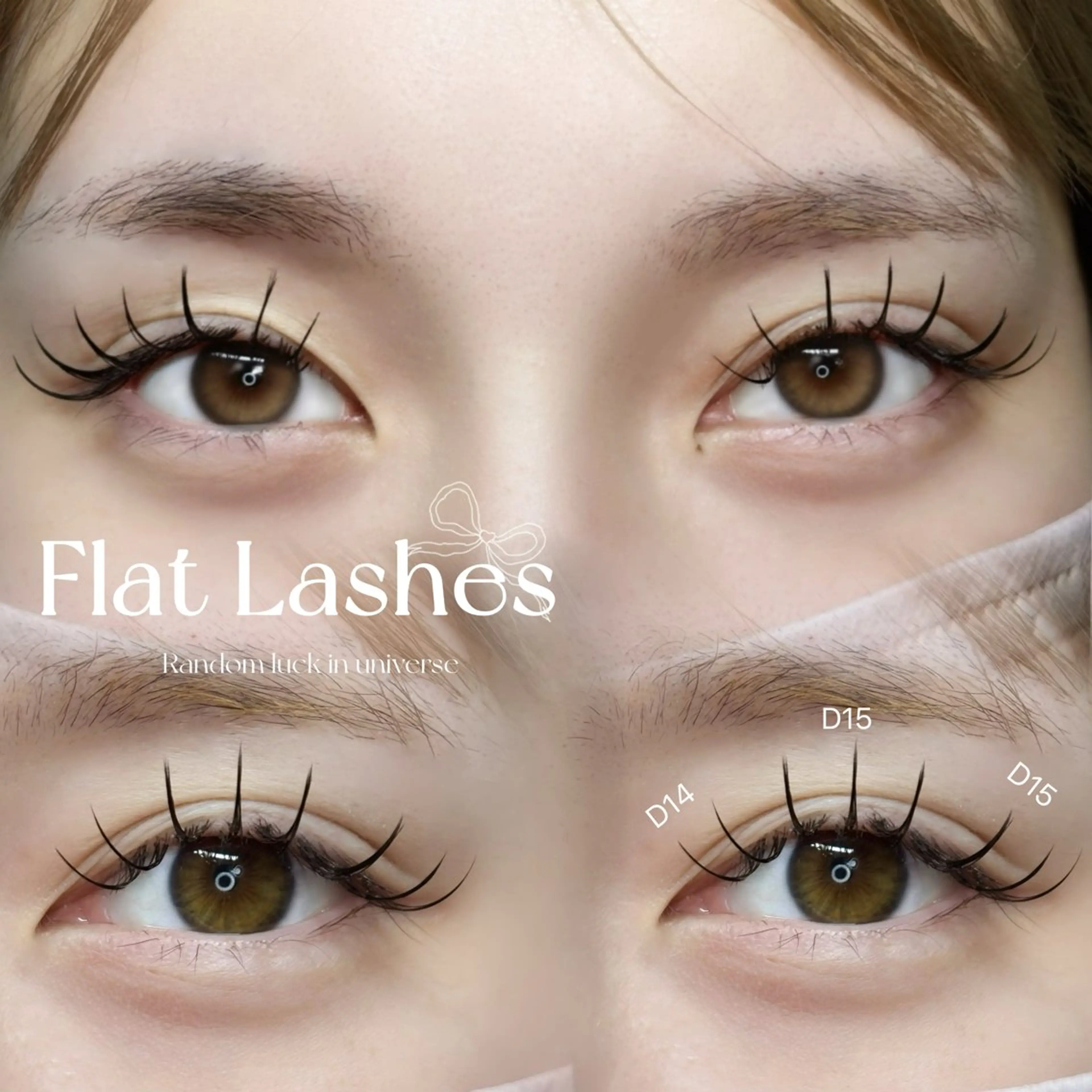 フラットラッシュ120本*:.。..。.:+・゚・の写真