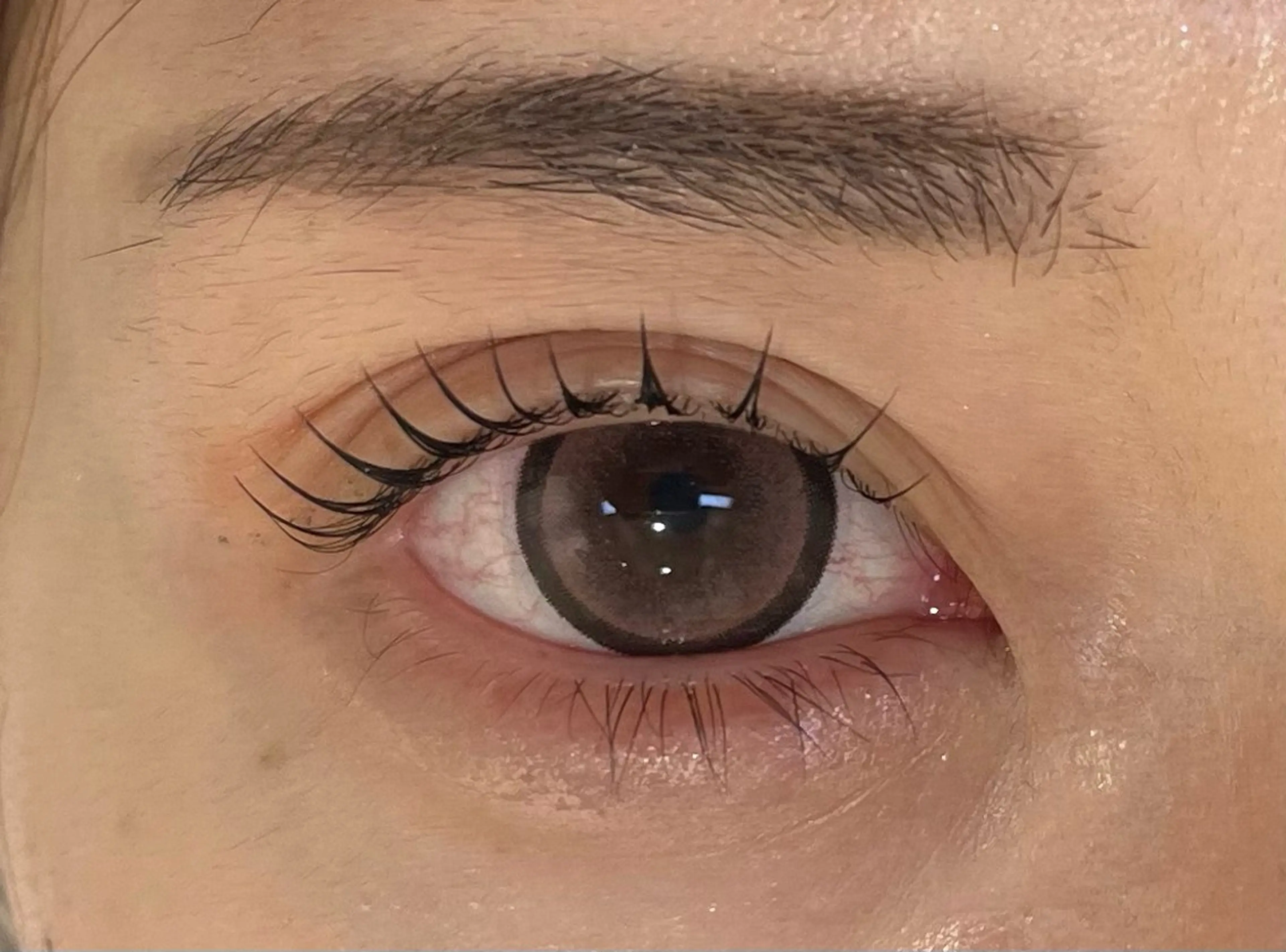 【新メニュー】まつげパーマ×ブラックティント🌙✨の写真