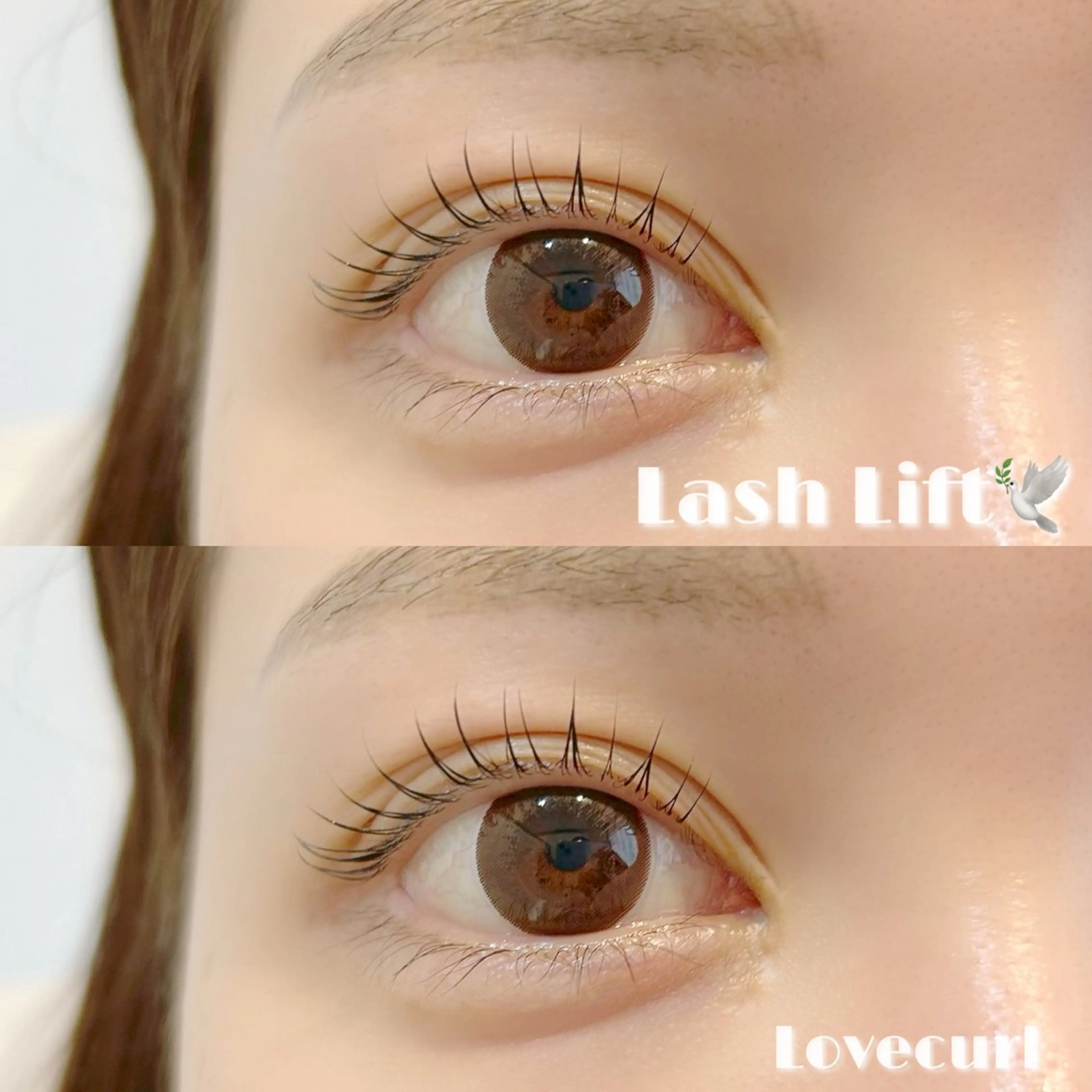 【2回目以降】 🫧高濃度トリートメントパーマ(上下)🫧の写真