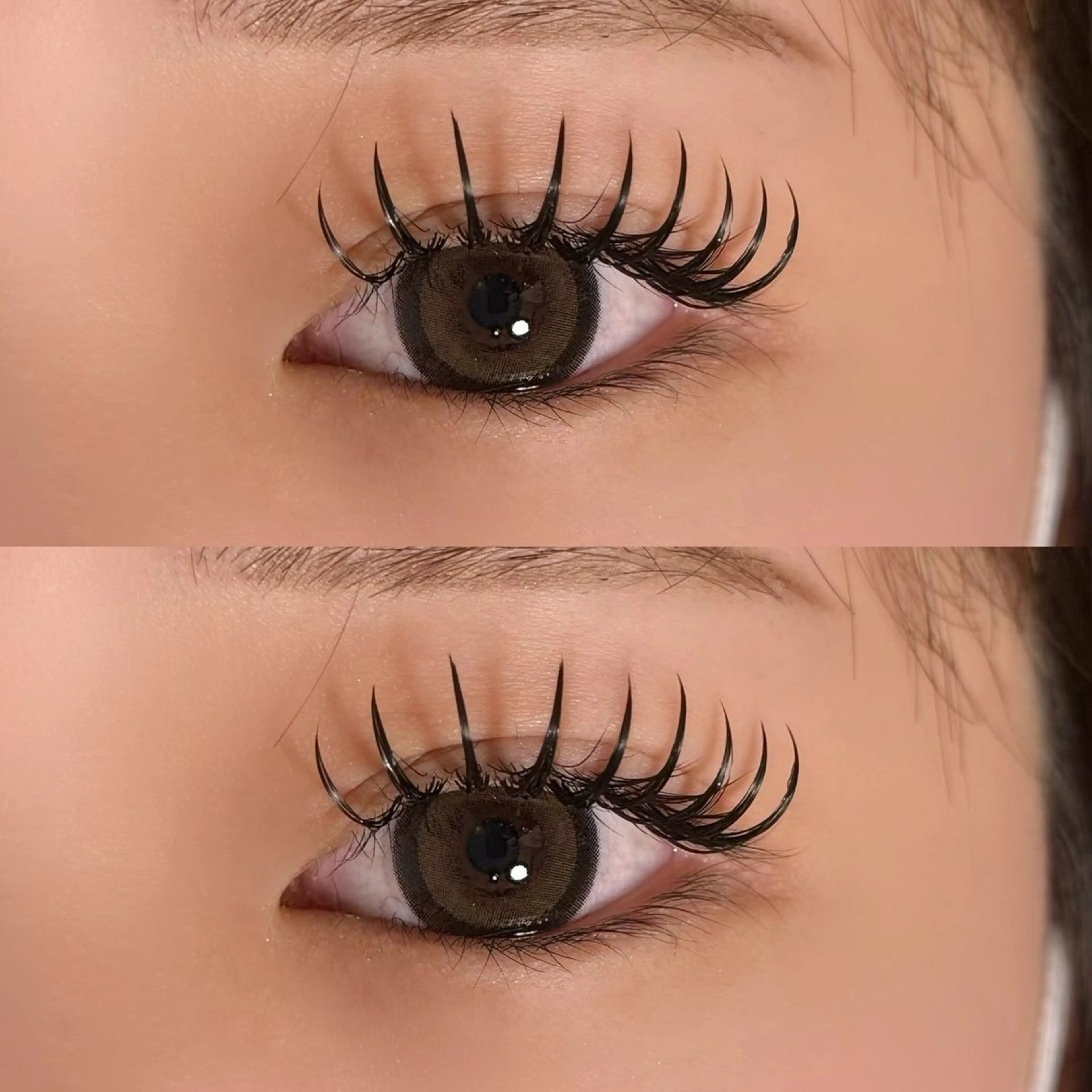 マツエク・マツパ バインドロック マツエク 🐾ROAR🐾 HAZUKIのマツエク・マツパデザイン