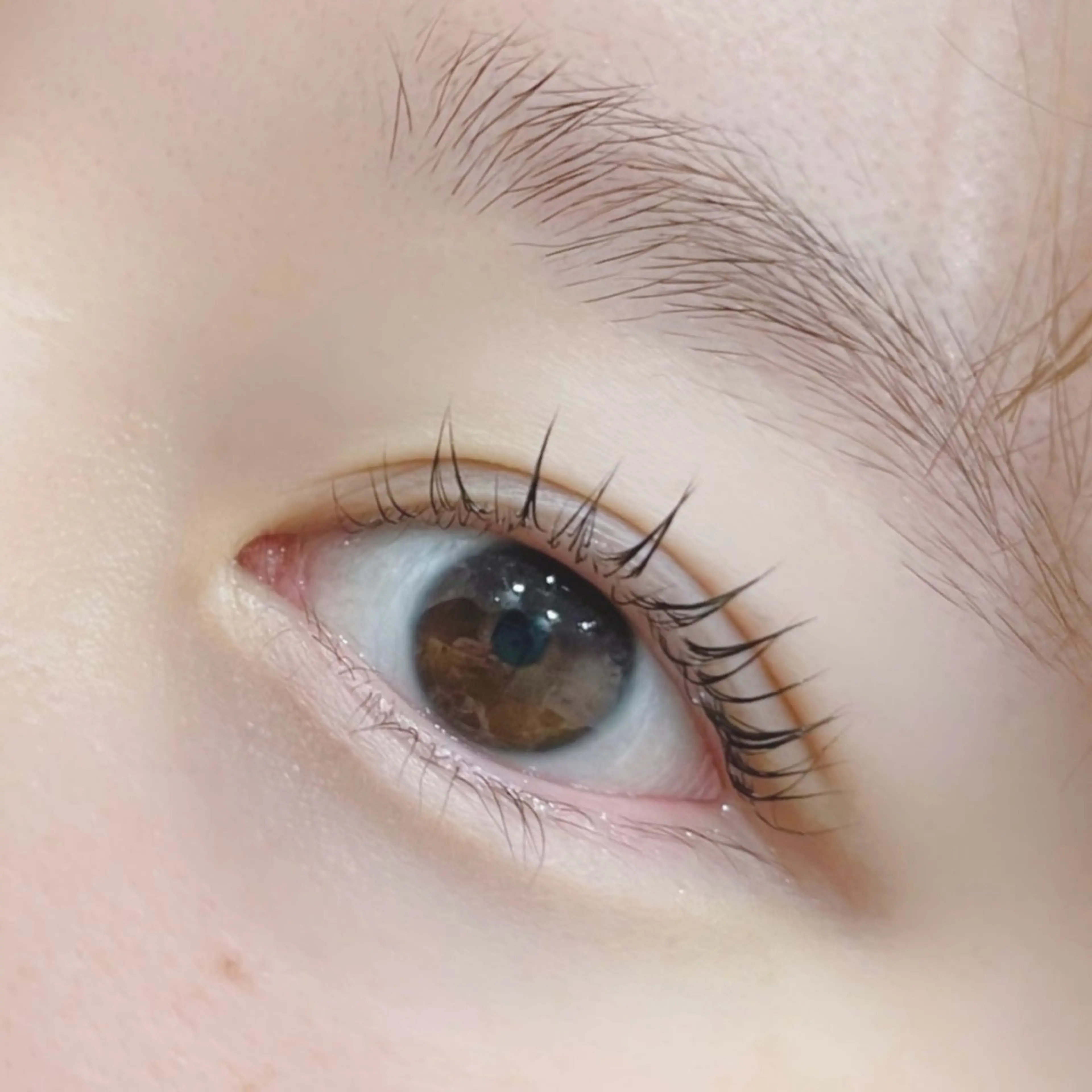 マツエク・マツパ マツパ IIJIMA /まつパ/パリ/束感のマツエク・マツパデザイン