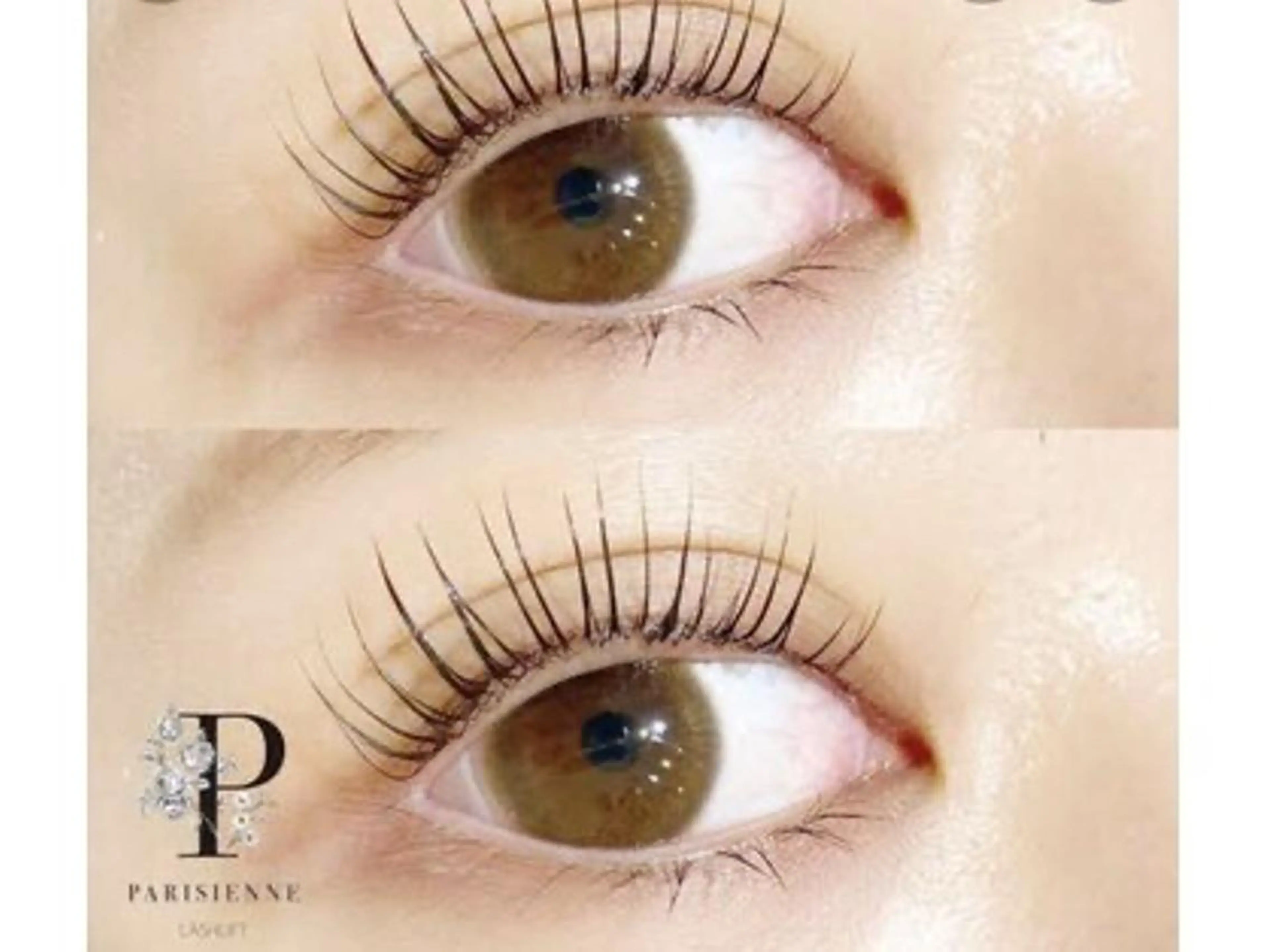 ジュニアアイリスト　パリジェンヌの写真