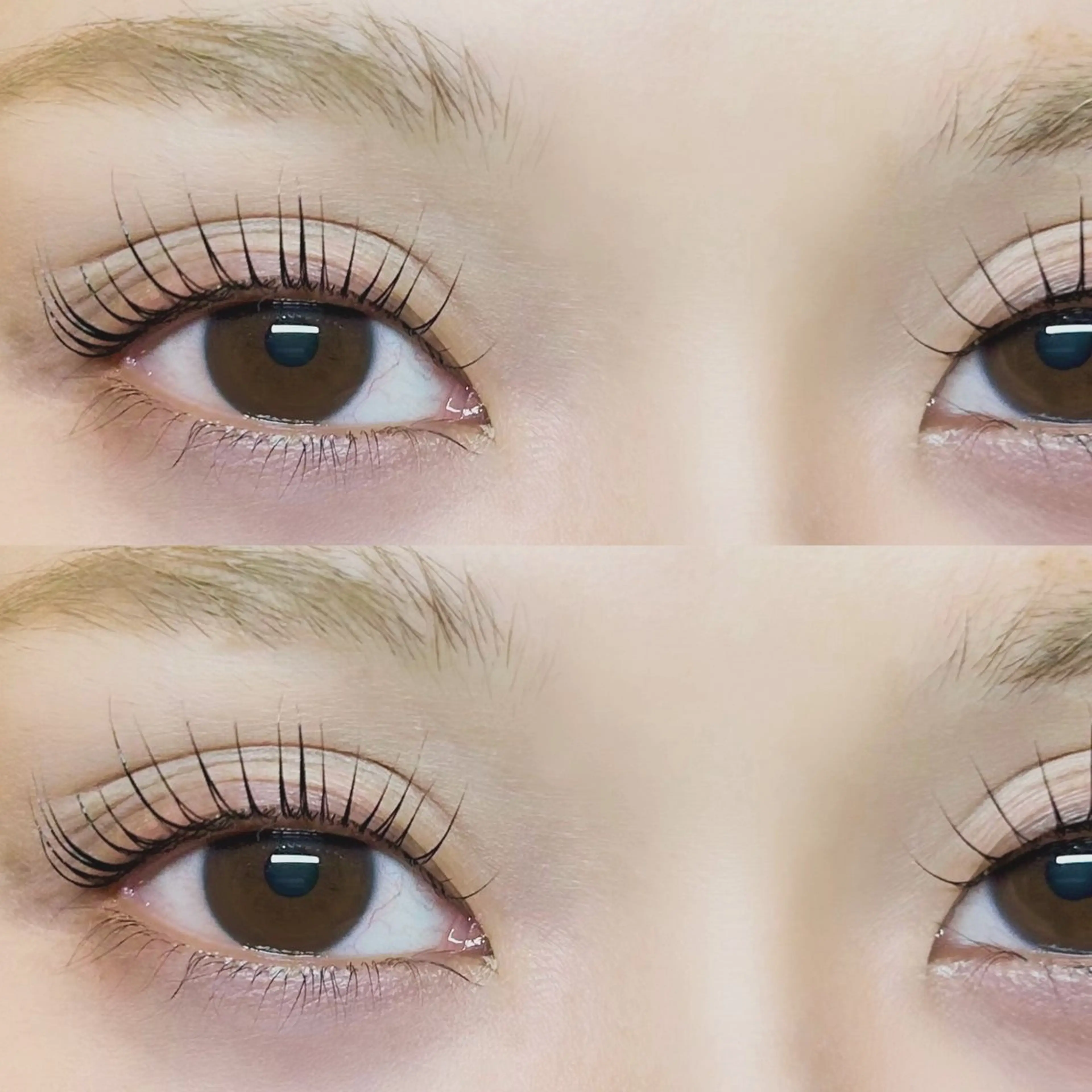 マツエク・マツパ マツパ 毛染め工房所属・まほ  平野/ 長吉六反/喜連瓜破のマツエク・マツパデザイン