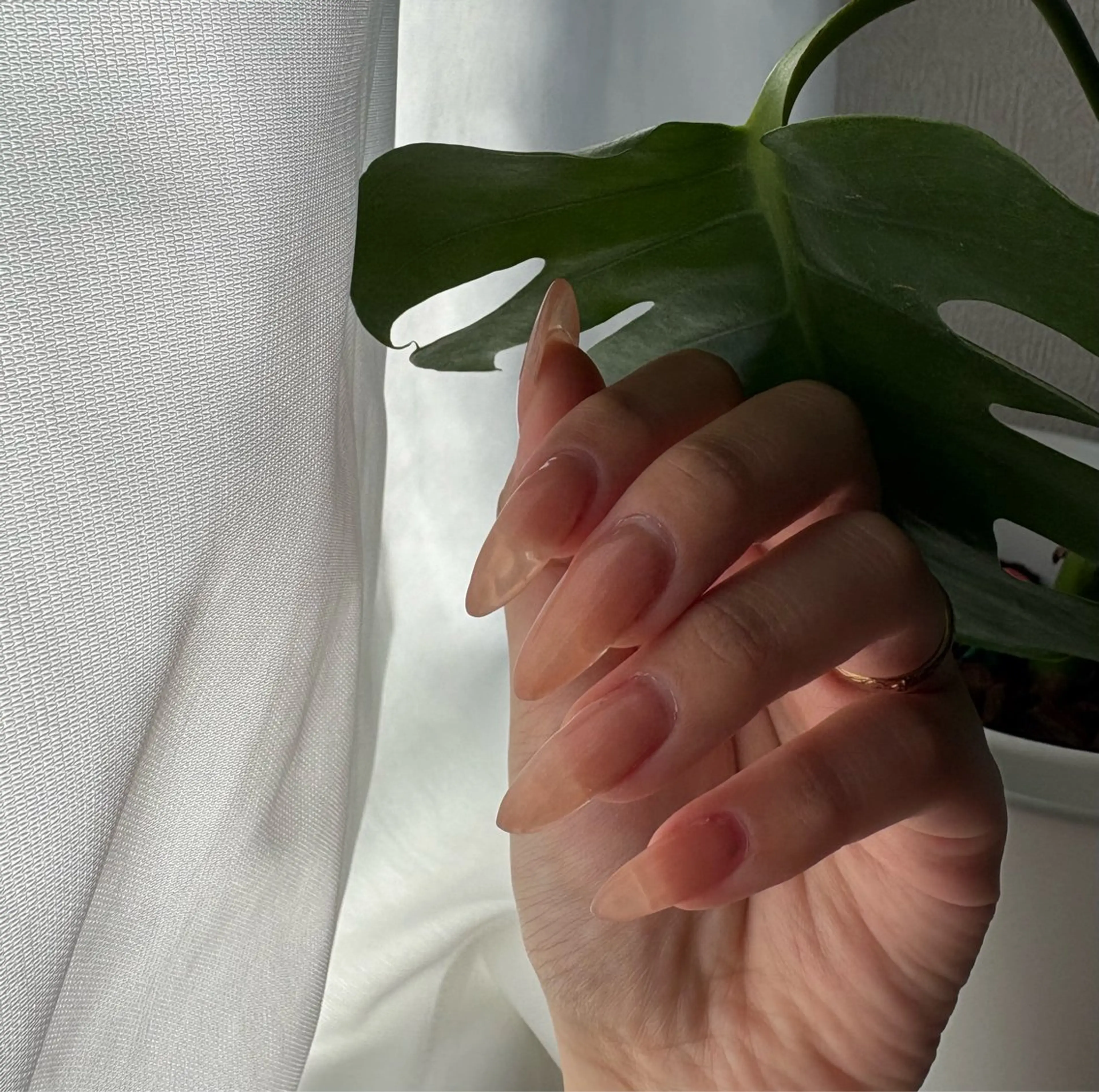 ワンカラー シンプルネイル💅の写真