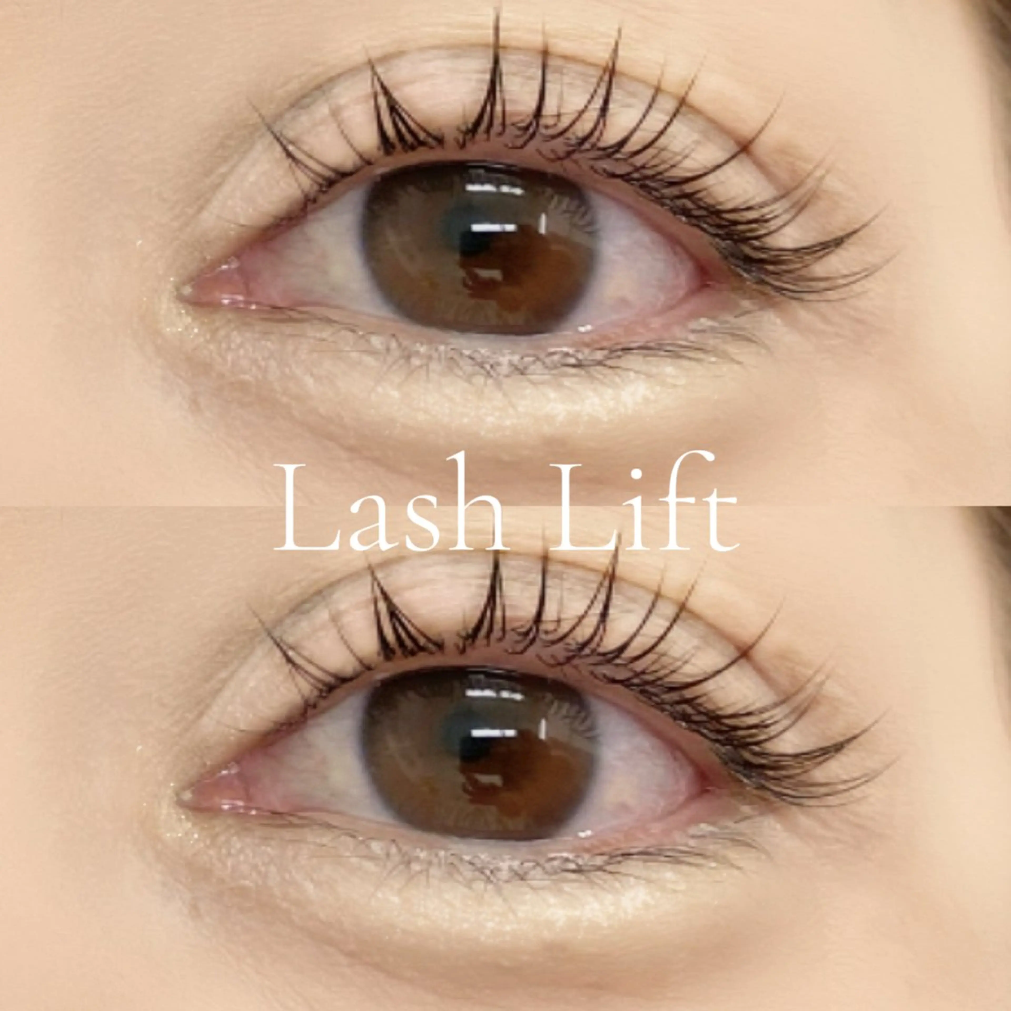 1日2名様限定まつげパーマ👀✨️の写真