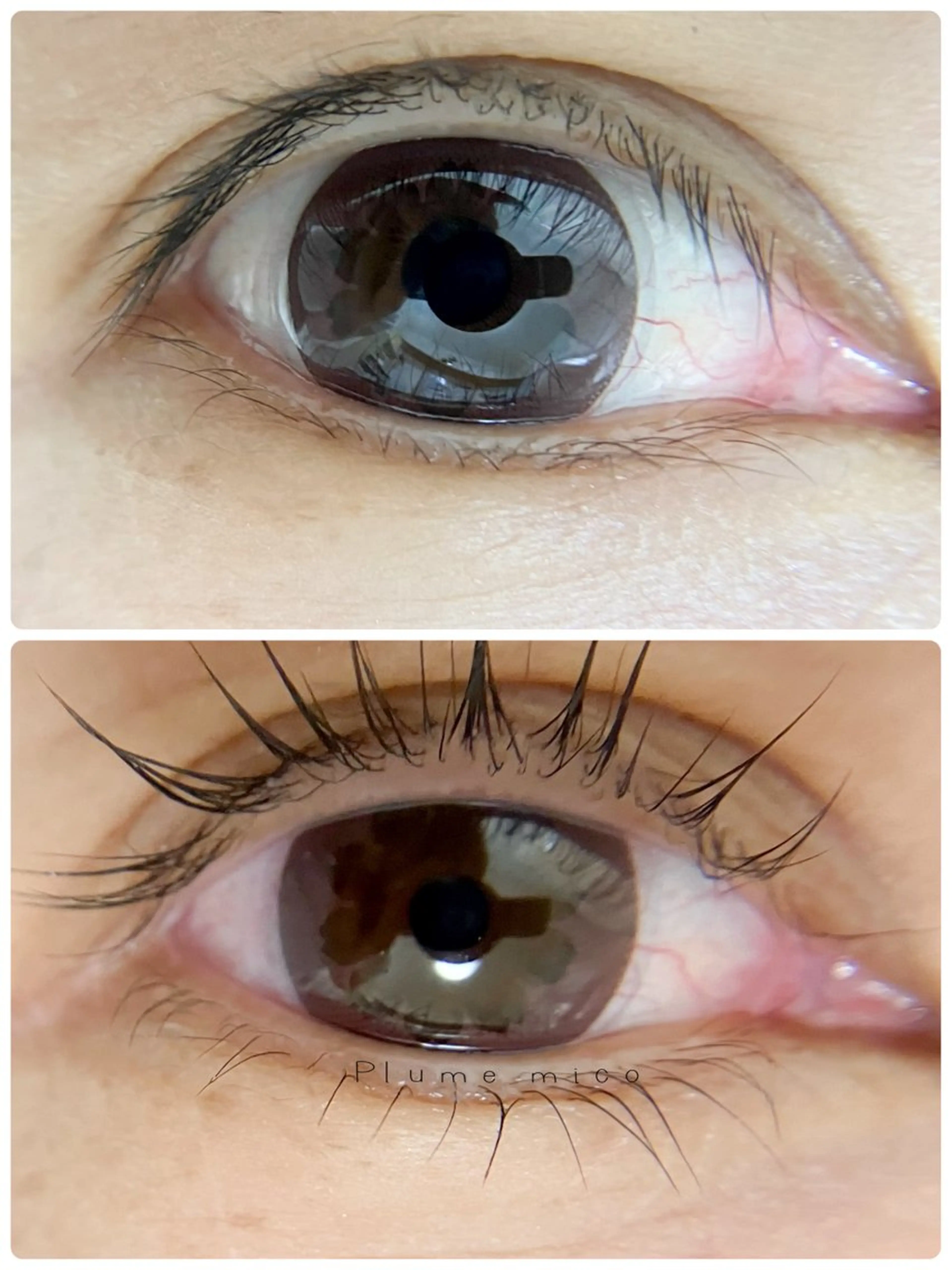 マツエク・マツパ マツパ Plume micoのマツエク・マツパデザイン