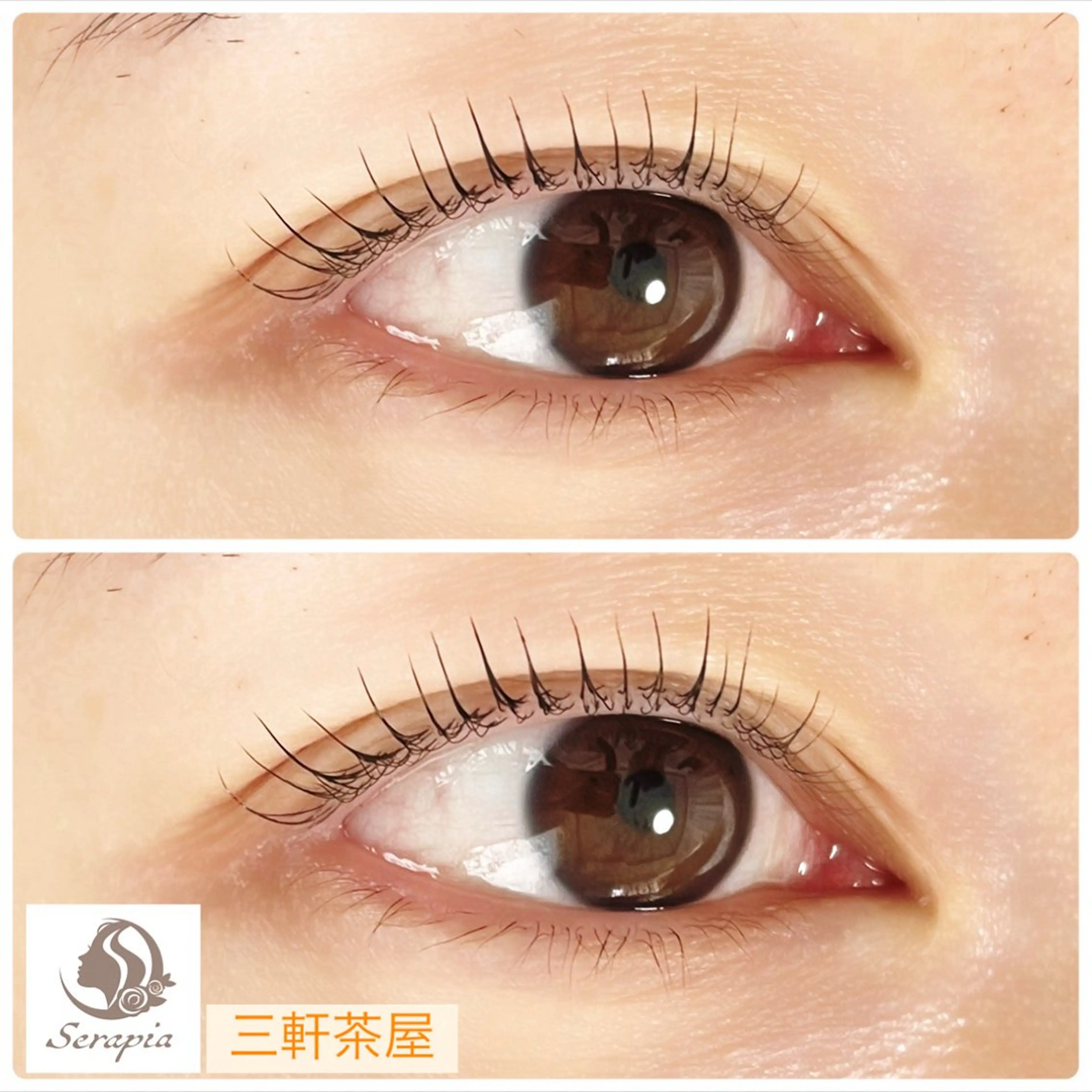 マツエク・マツパ Serapia 【セラピア】のマツエク・マツパデザイン