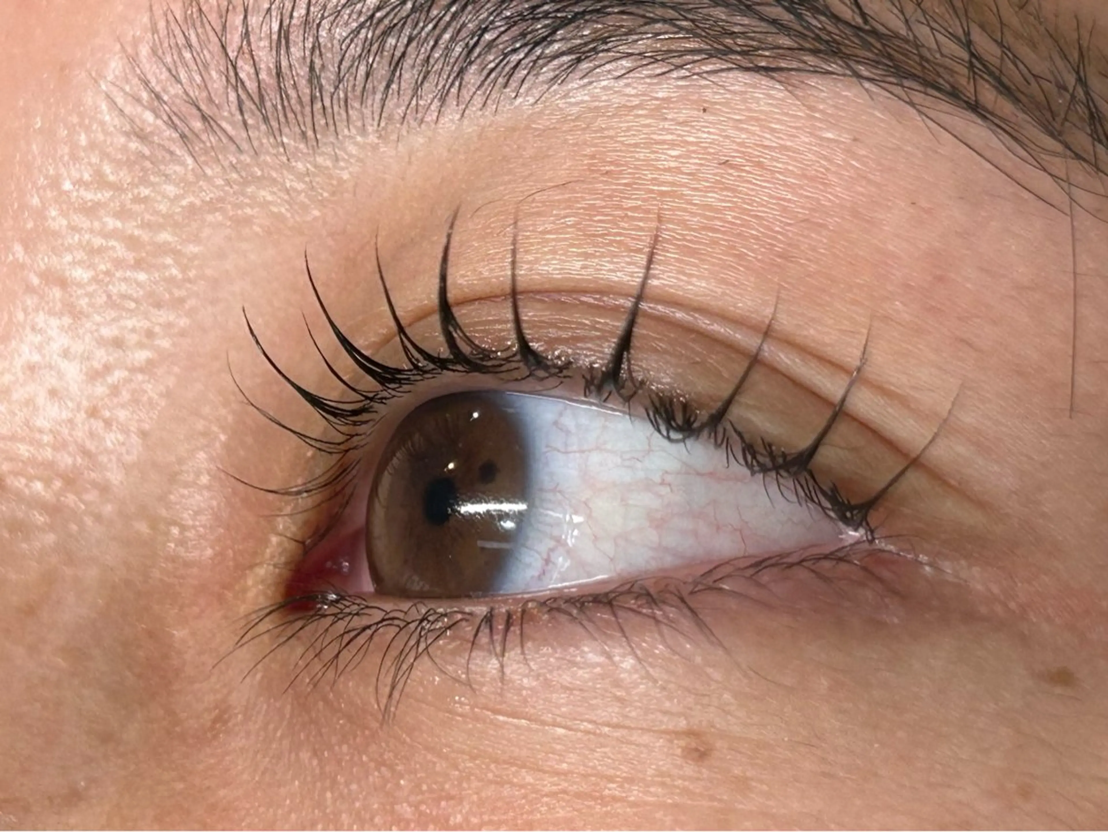 マツエク・マツパ マツパ ᴘʟᴀᴛɪɴᴜᴍ ᴅᴏʟʟえば🫧のマツエク・マツパデザイン