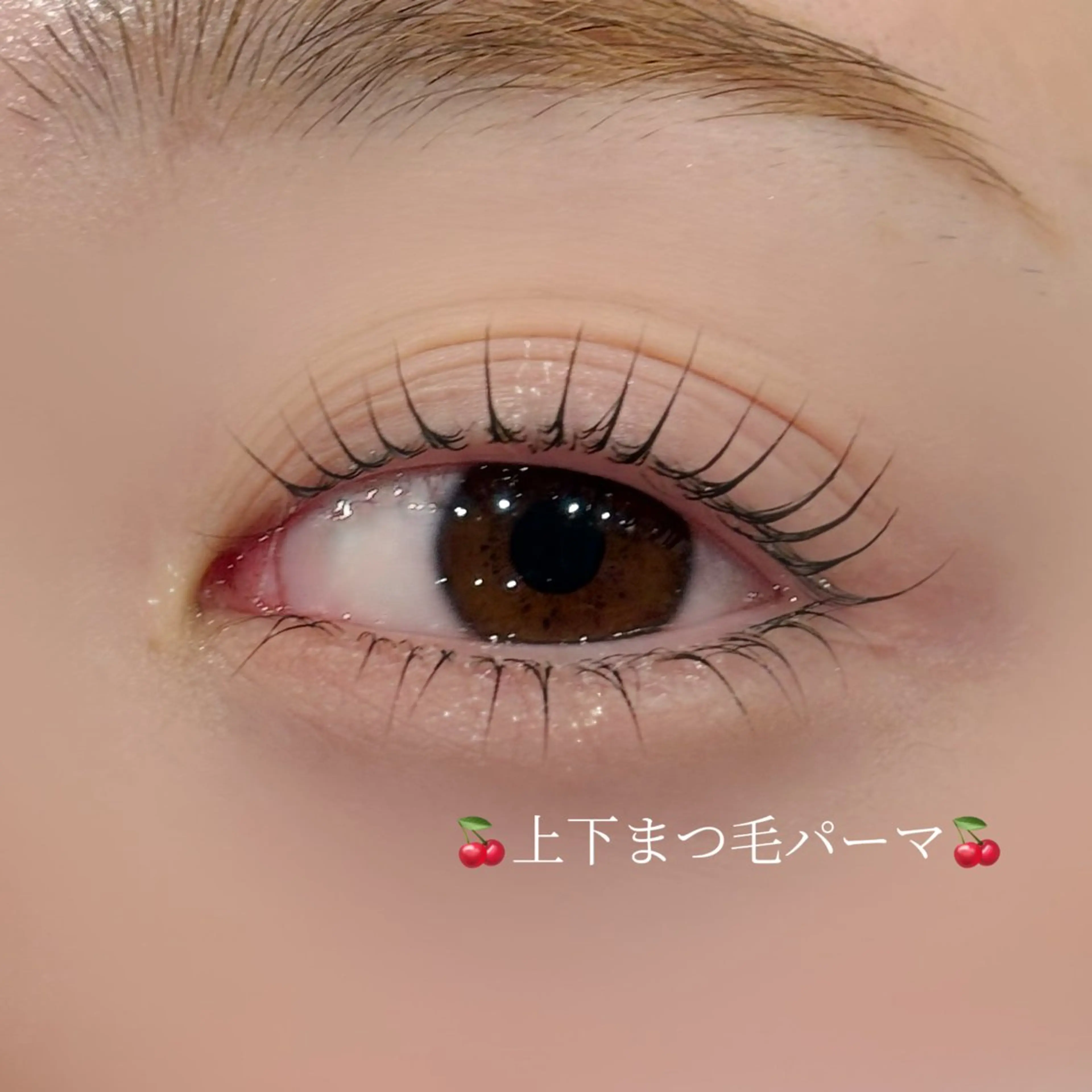 💫上下まつげパーマ💫の写真