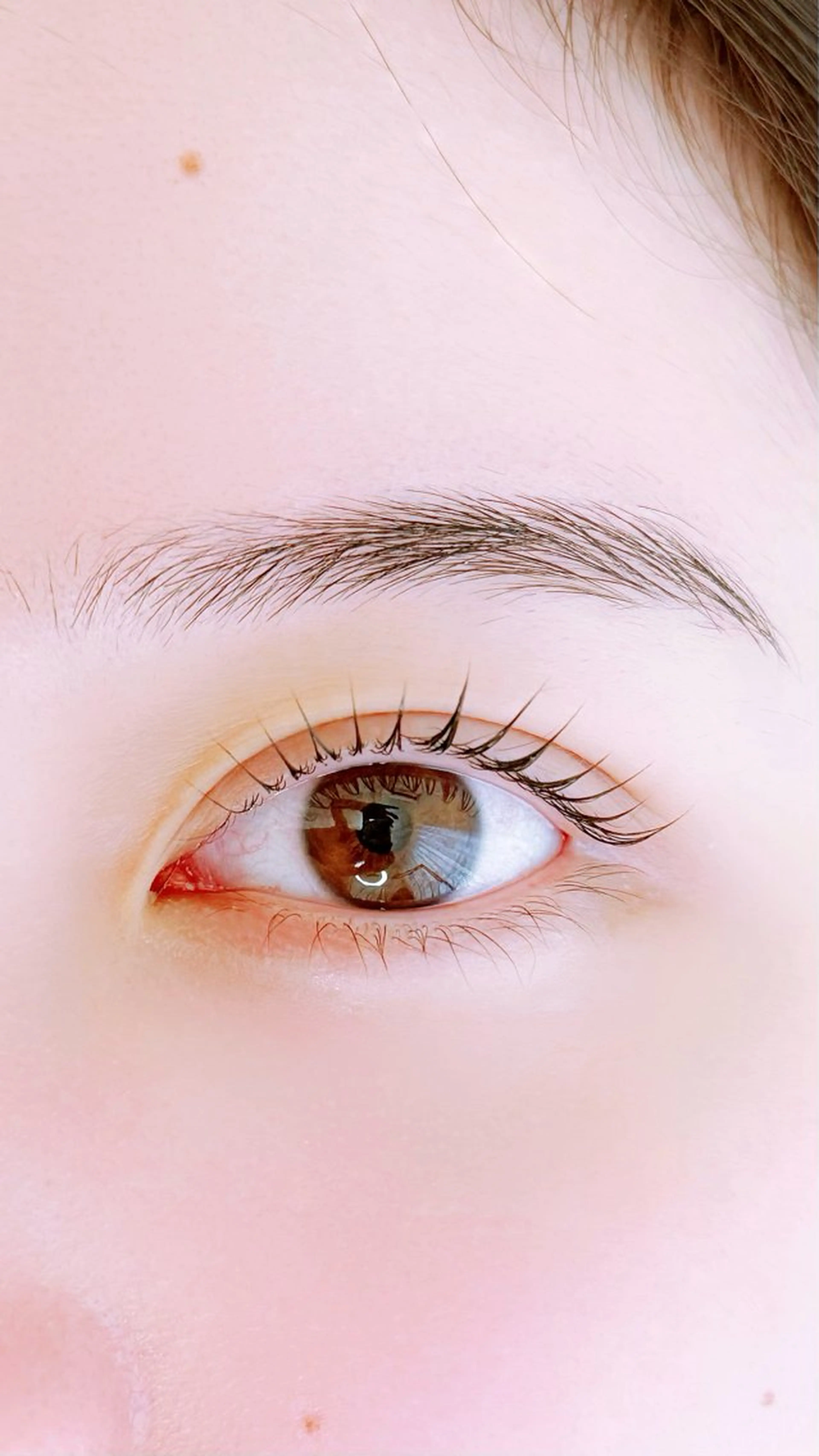 マツエク・マツパ 束感まつ毛 まつげパーマ マツパ Cilune所属・三軒茶屋|まつげ |眉毛🌙菅原🌙のマツエク・マツパデザイン