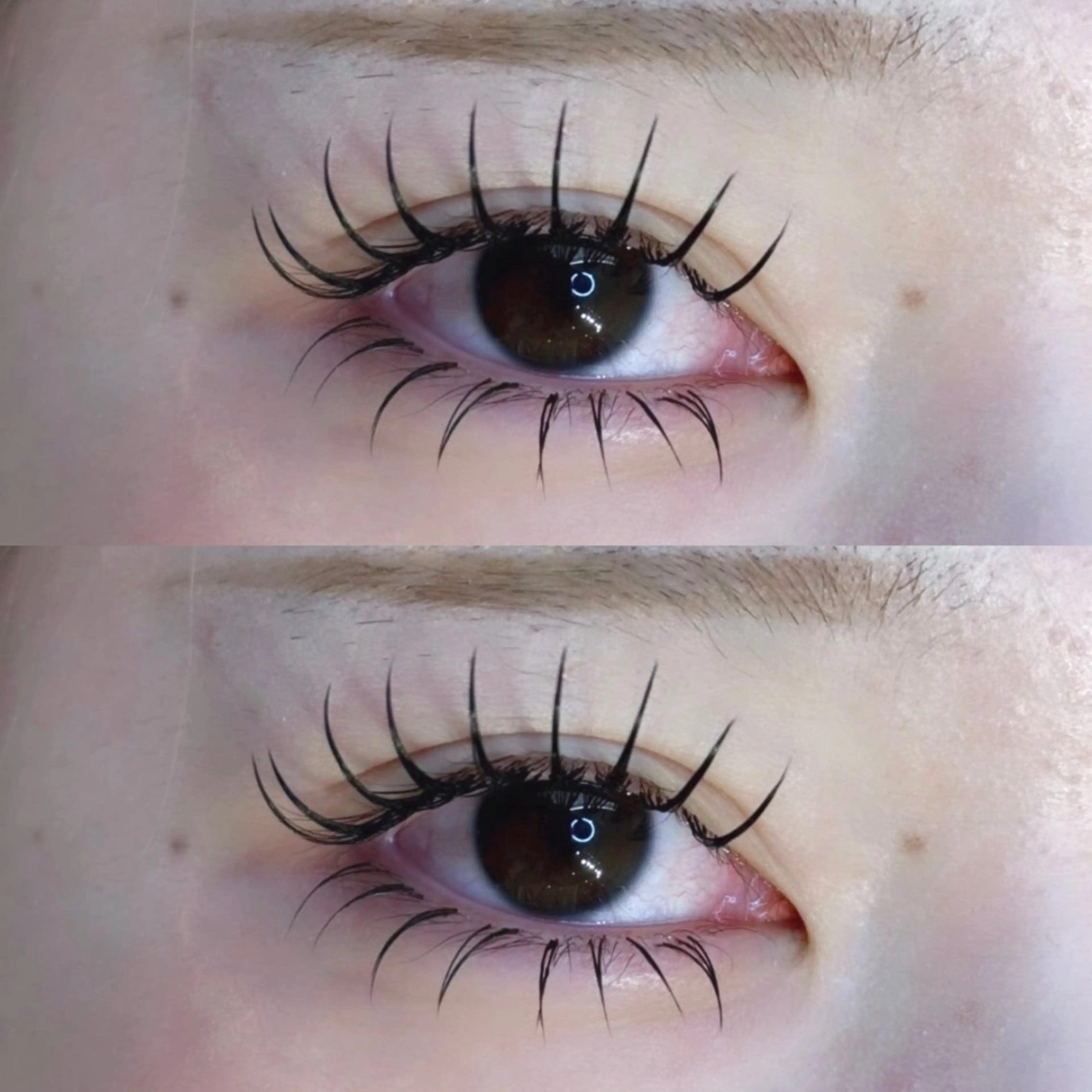 マツエク・マツパ フラットラッシュ 下まつげエクステ マツエク M.O.D shibuya 道玄坂店所属・fuka 🤍のマツエク・マツパデザイン