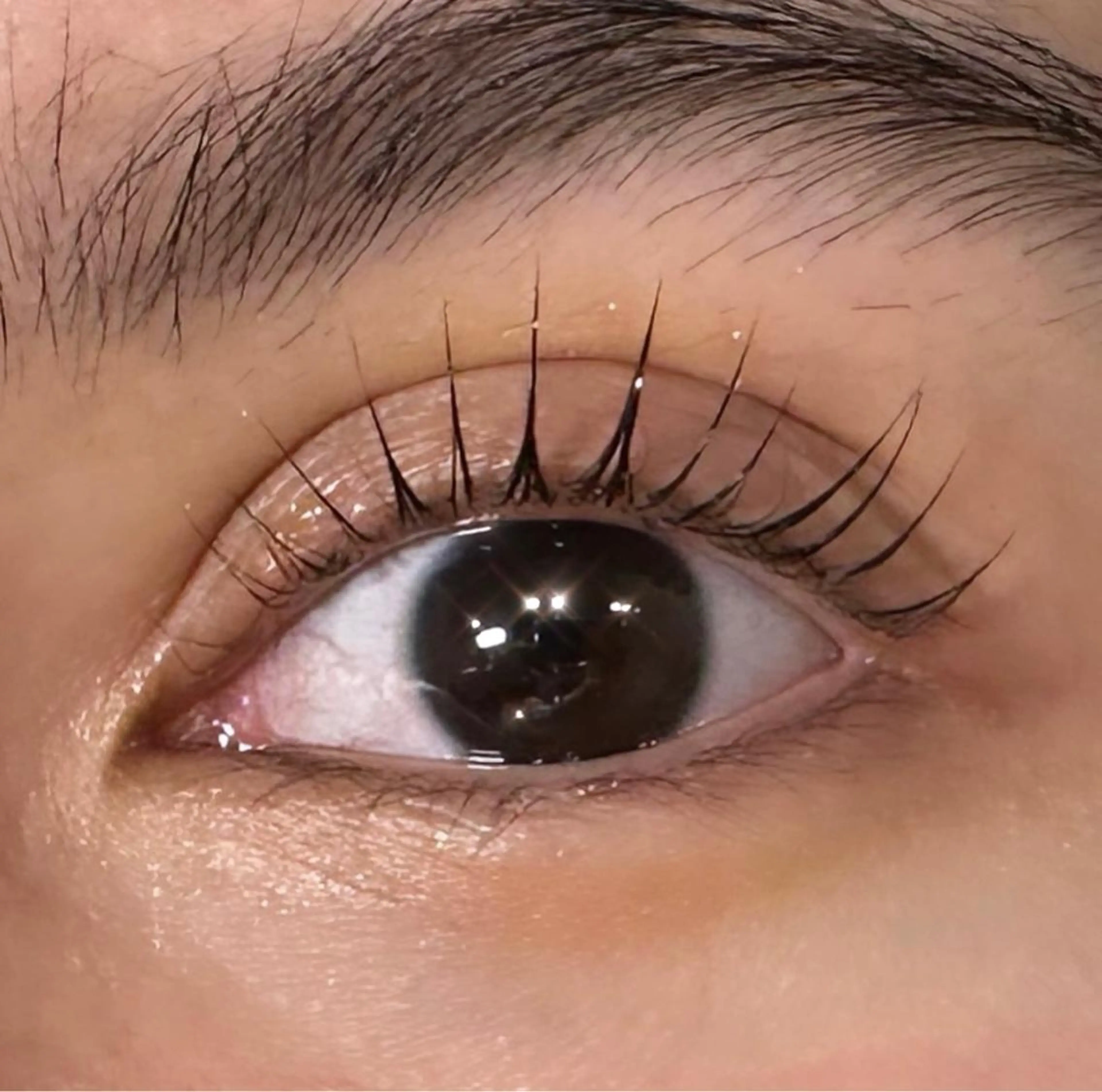 マツエク・マツパ パリジェンヌラッシュリフト マツパ 川畑🌻 アンジェリカ錦糸町のマツエク・マツパデザイン