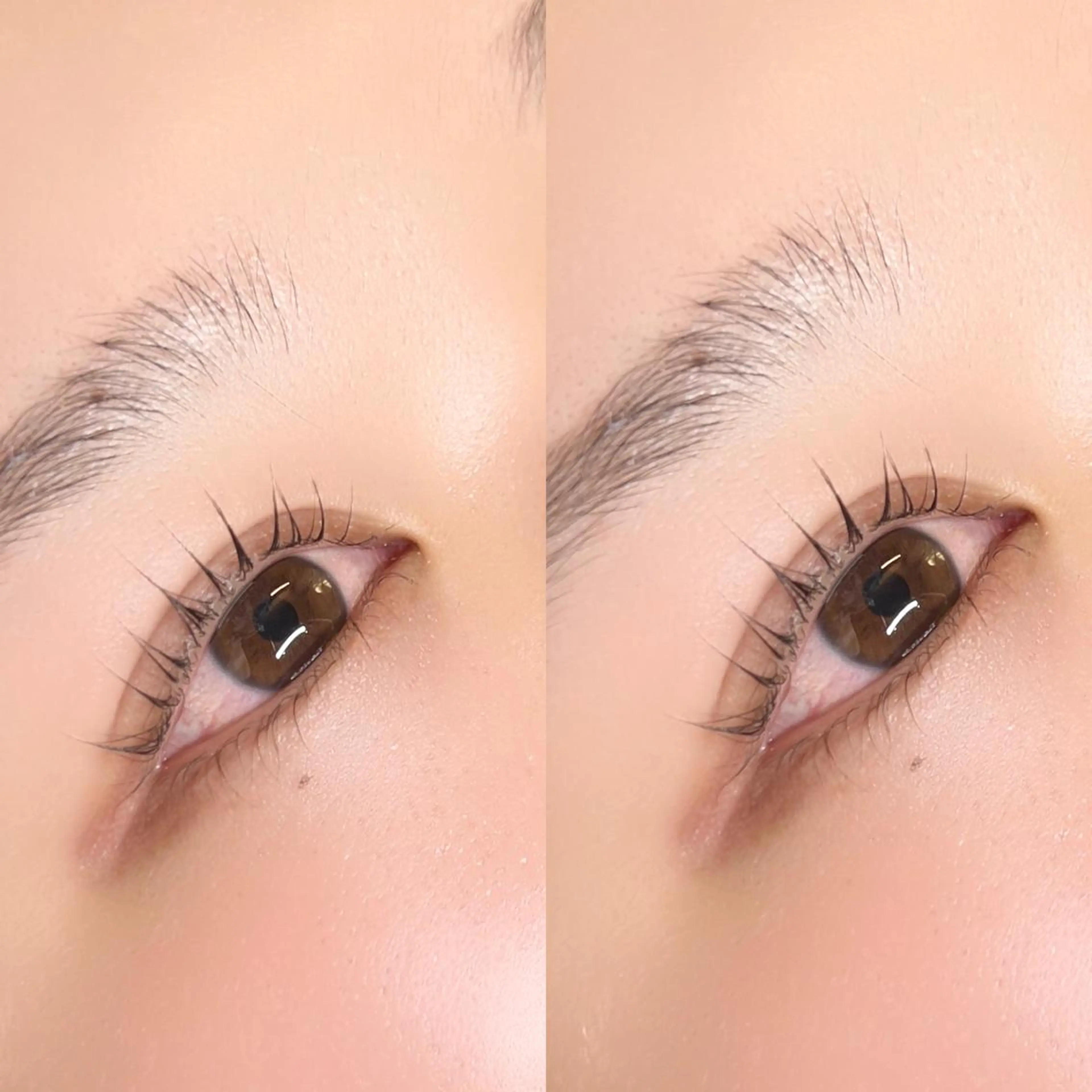 マツエク・マツパ パリジェンヌラッシュリフト マティーニ AYAKAの眉毛・アイブロウイメージ