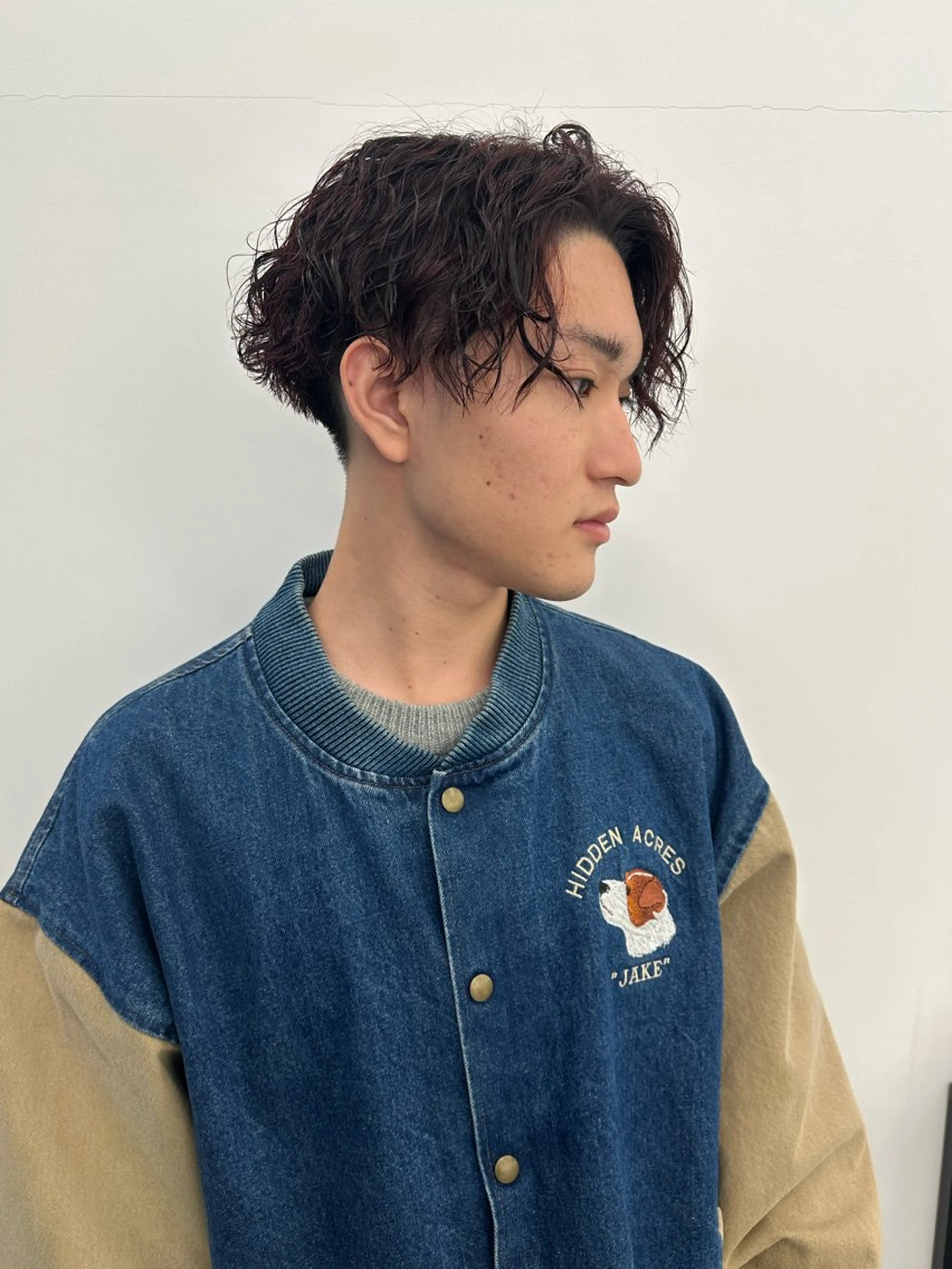 ショート カラー パーマ メンズ Vir by browのヘアスタイル