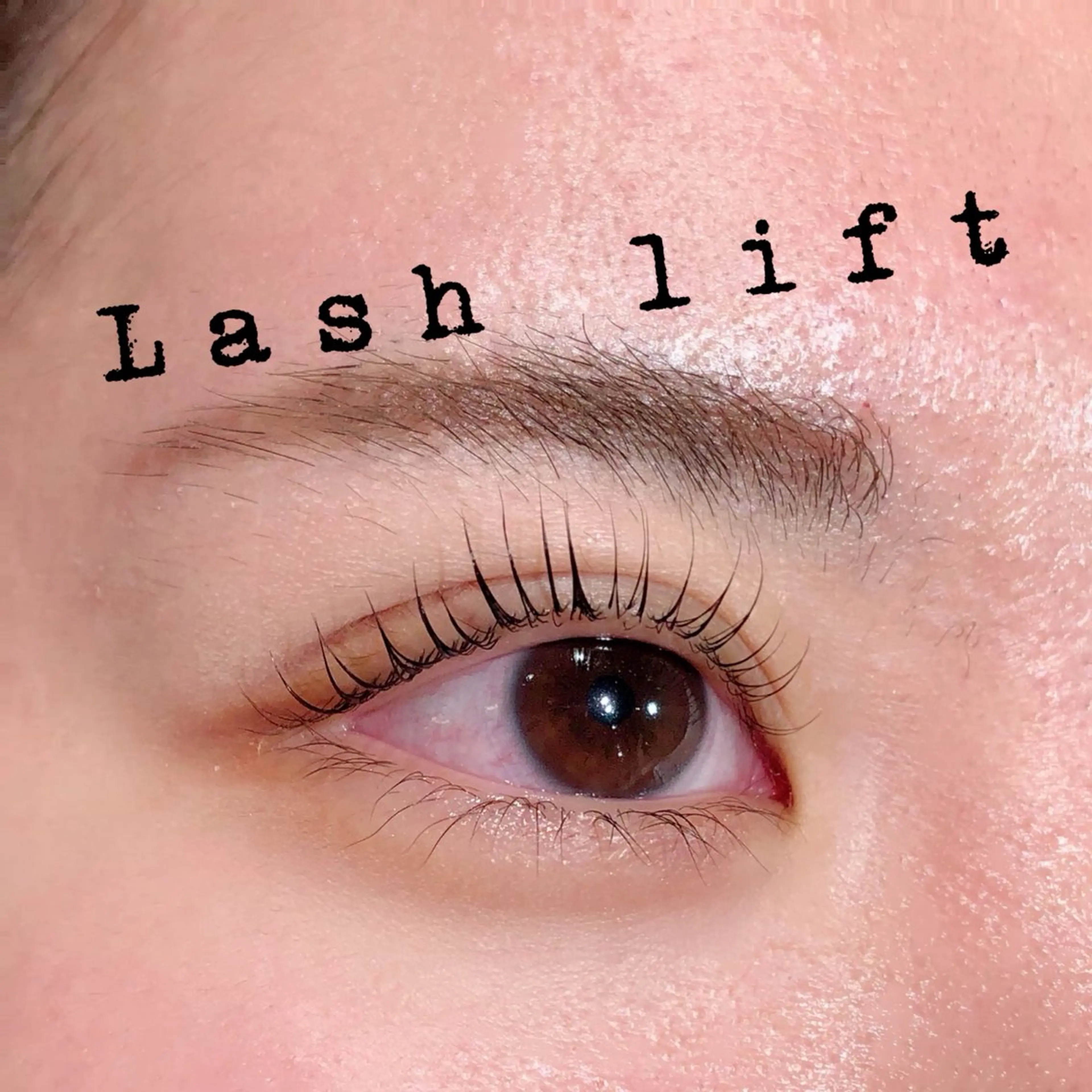 🫧🌿1月10日限定🌿🫧選べるまつ毛パーマ〔ラッシュリフト〕アイシャンプー付きの写真