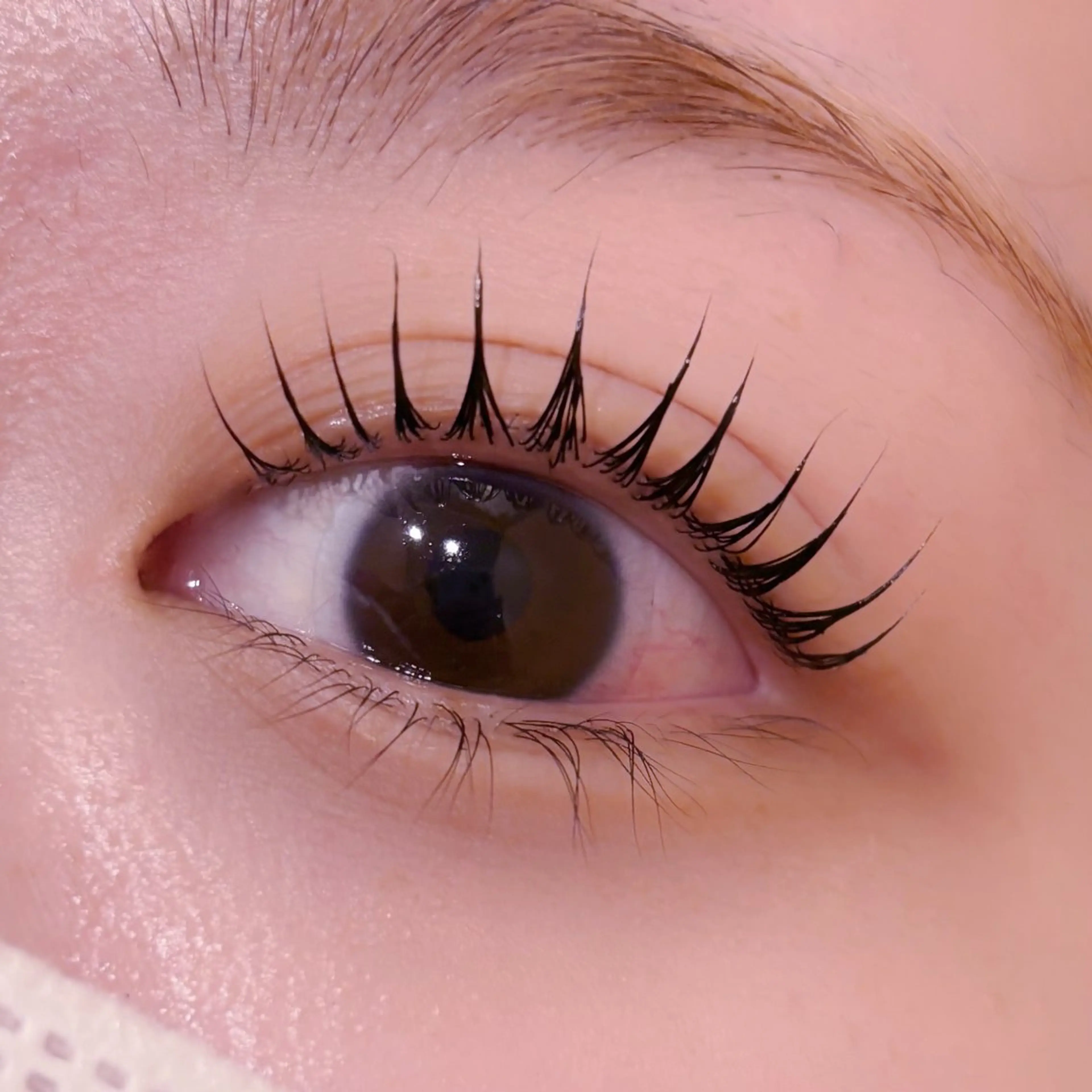 マツエク・マツパ pono大宮東口店 店長🩰AOHA🩰のマツエク・マツパデザイン