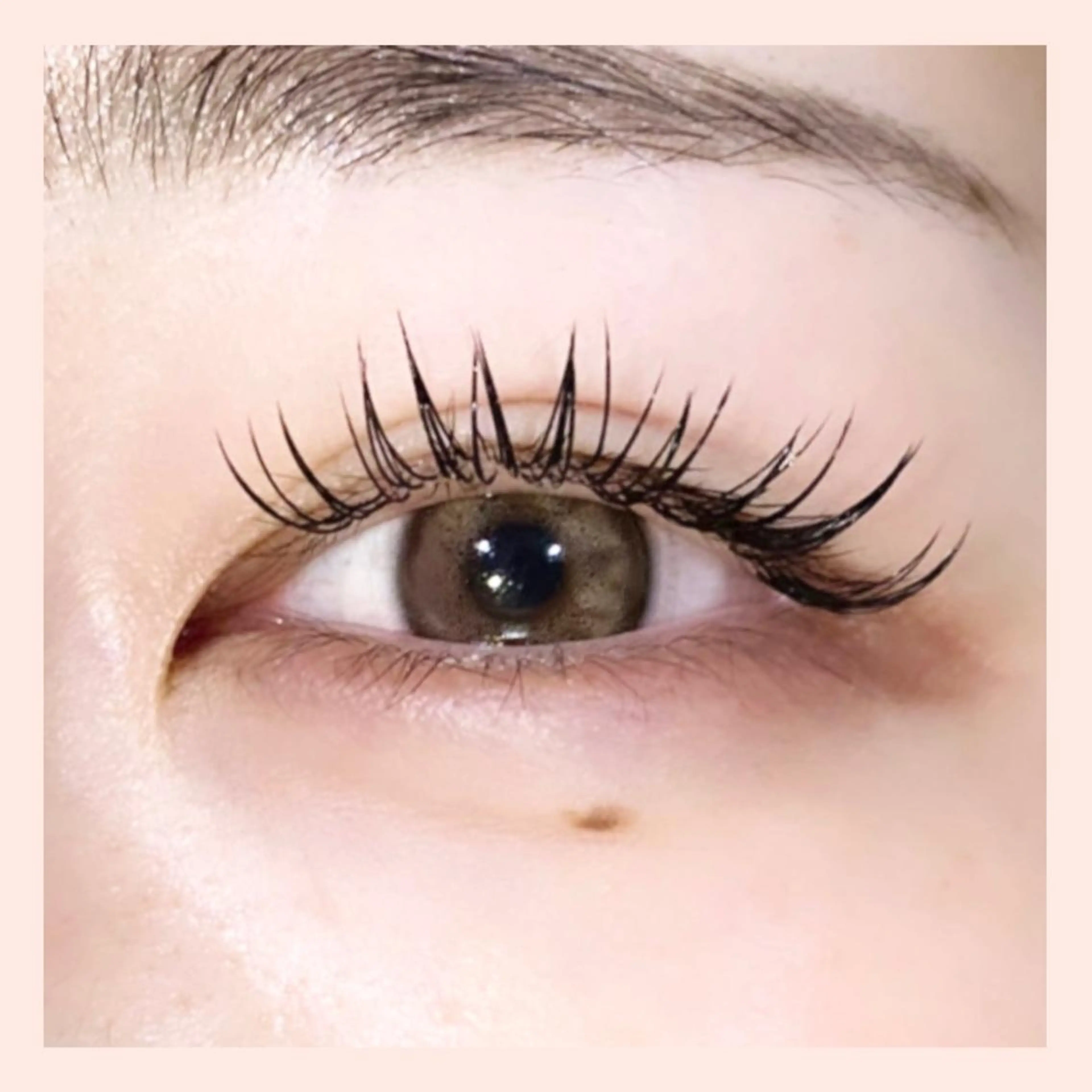 《10名様限定》大人気フラットラッシュ　マツエク120本＋オフ込み🌙J.Cカール（Dカール＋550円）の写真