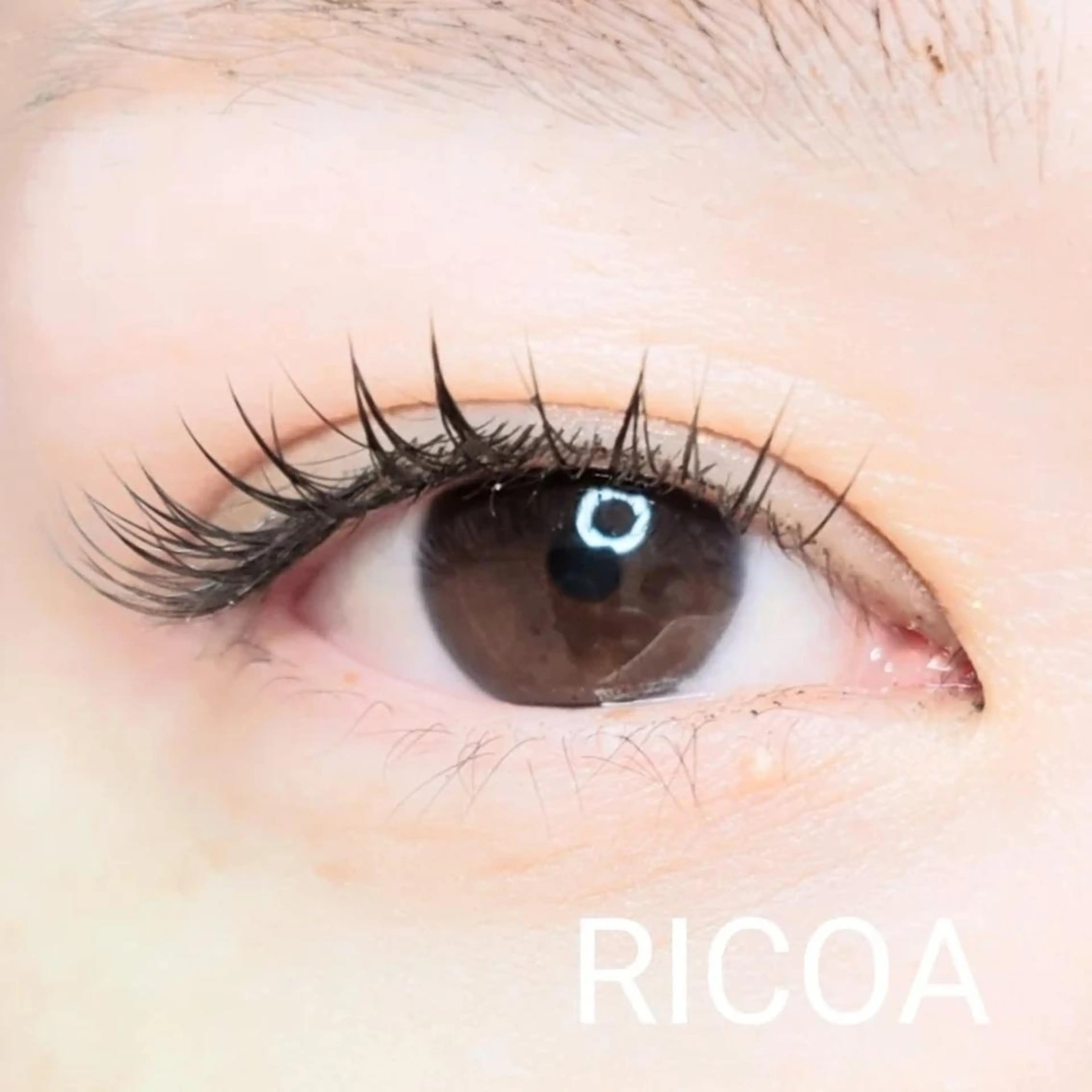 マツエク・マツパ フラットラッシュ RICOA 酒井のマツエク・マツパデザイン