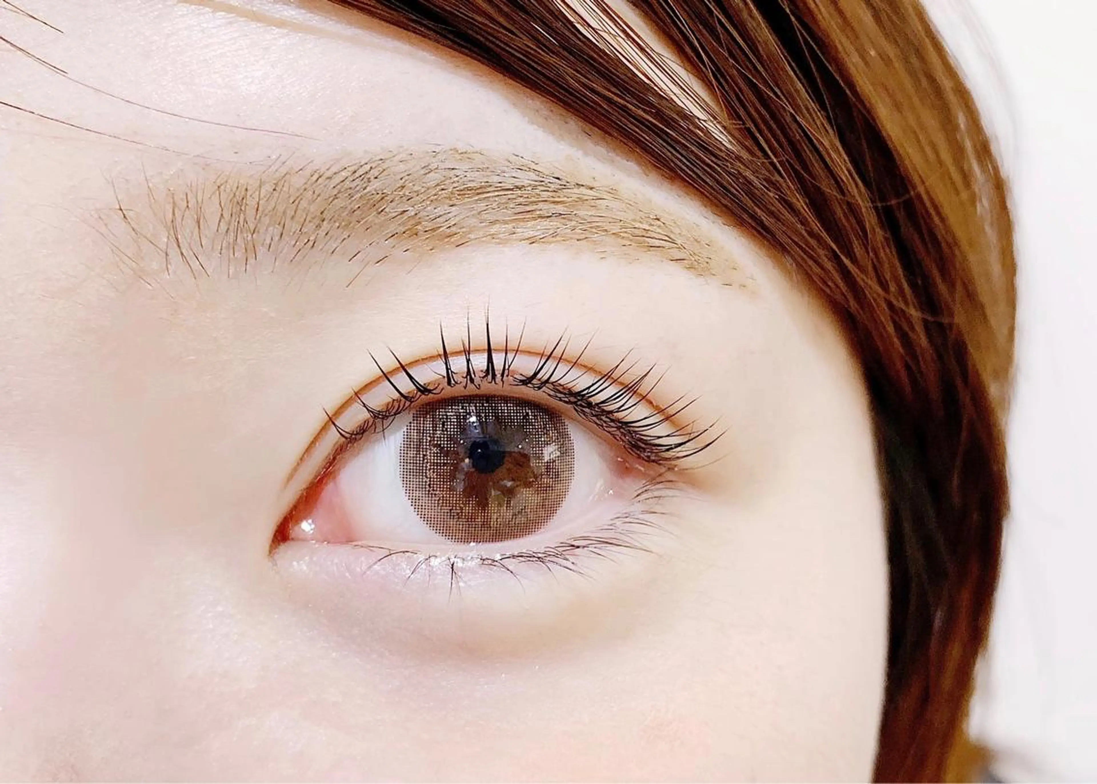 マツエク・マツパ ケラチンラッシュリフト RAGCie所属・S 🎀のマツエク・マツパデザイン