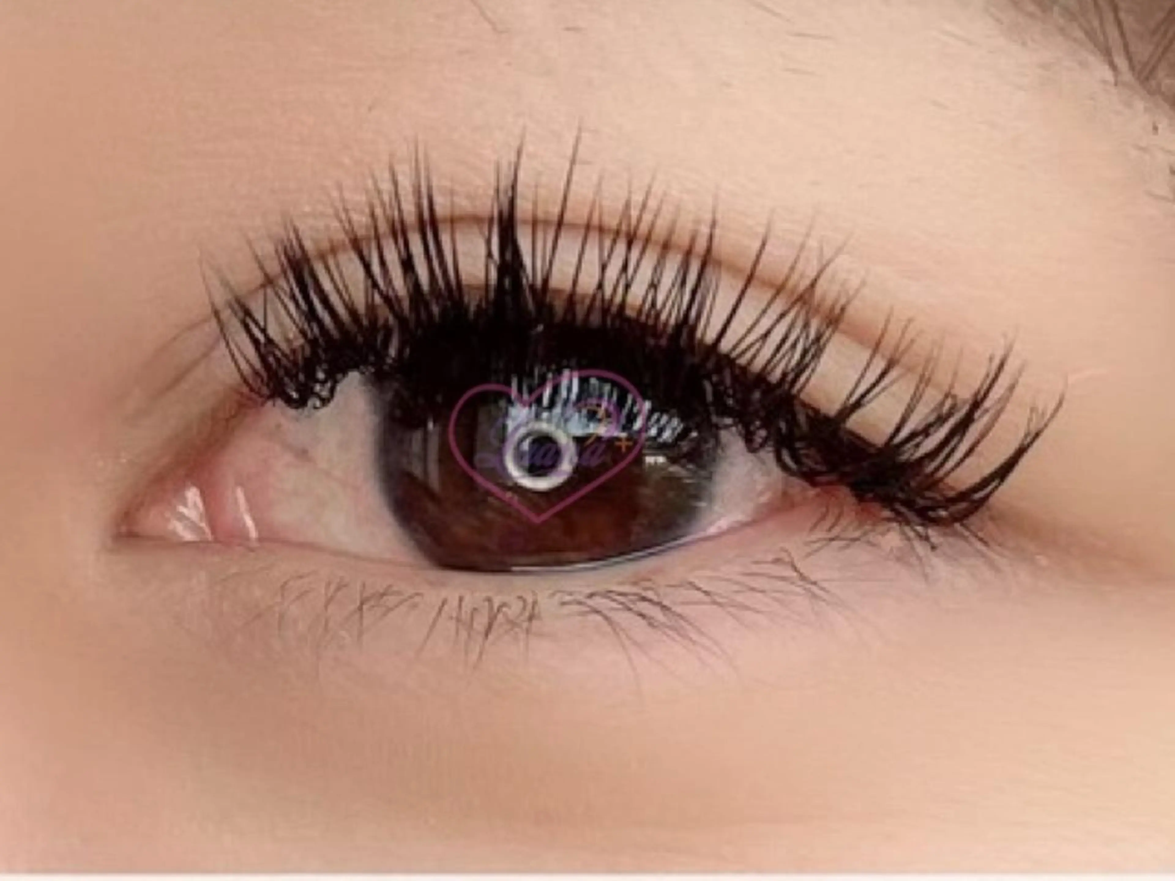 マツエク・マツパ Lカール ルアナプラス 中目黒のマツエク・マツパデザイン