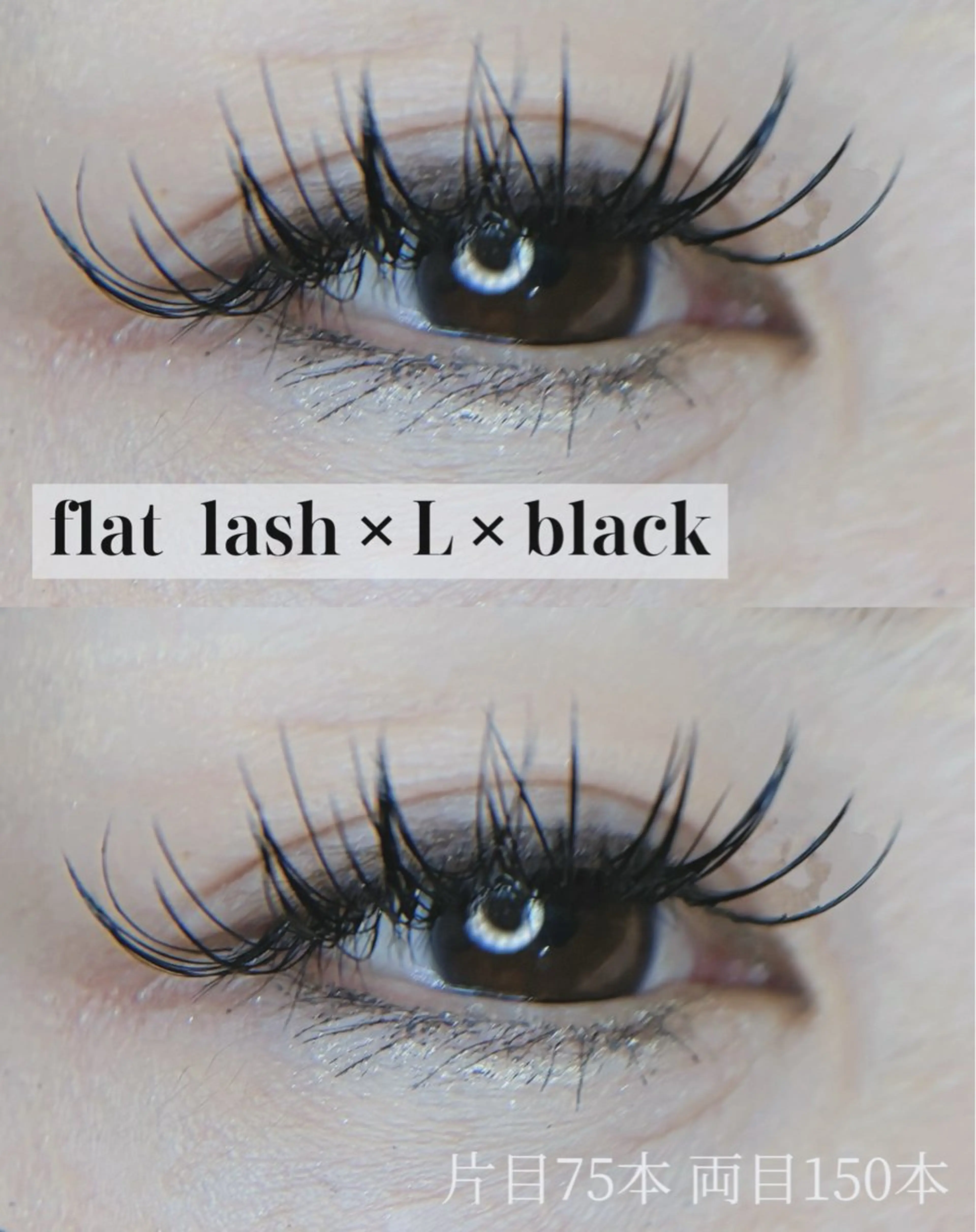 【マツエク】フラットラッシュ150本まで/カラー変更無料の写真