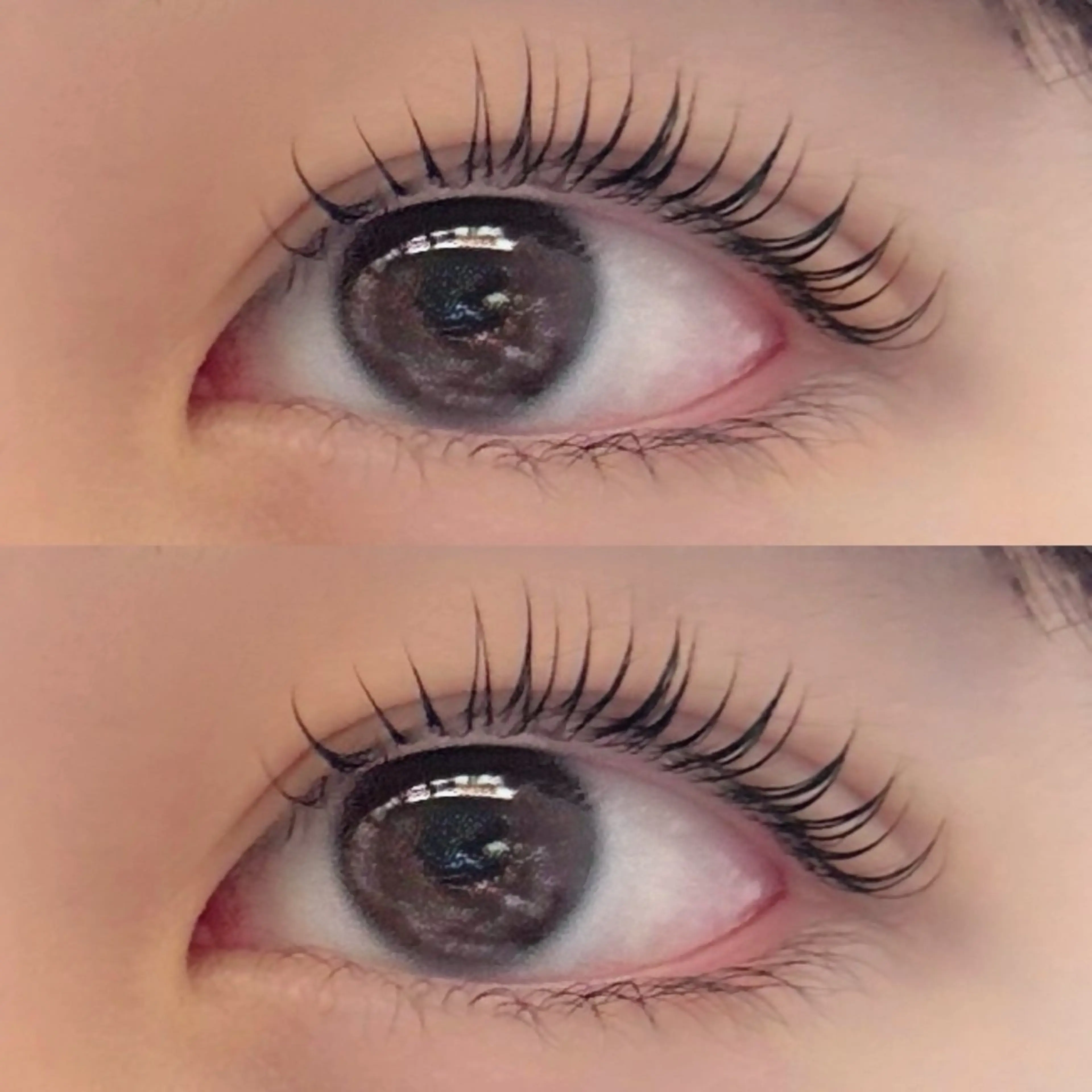 《次世代まつ毛パーマ》ラッシュリフト👀✨泡シャンプー・コーティング🪽付の写真