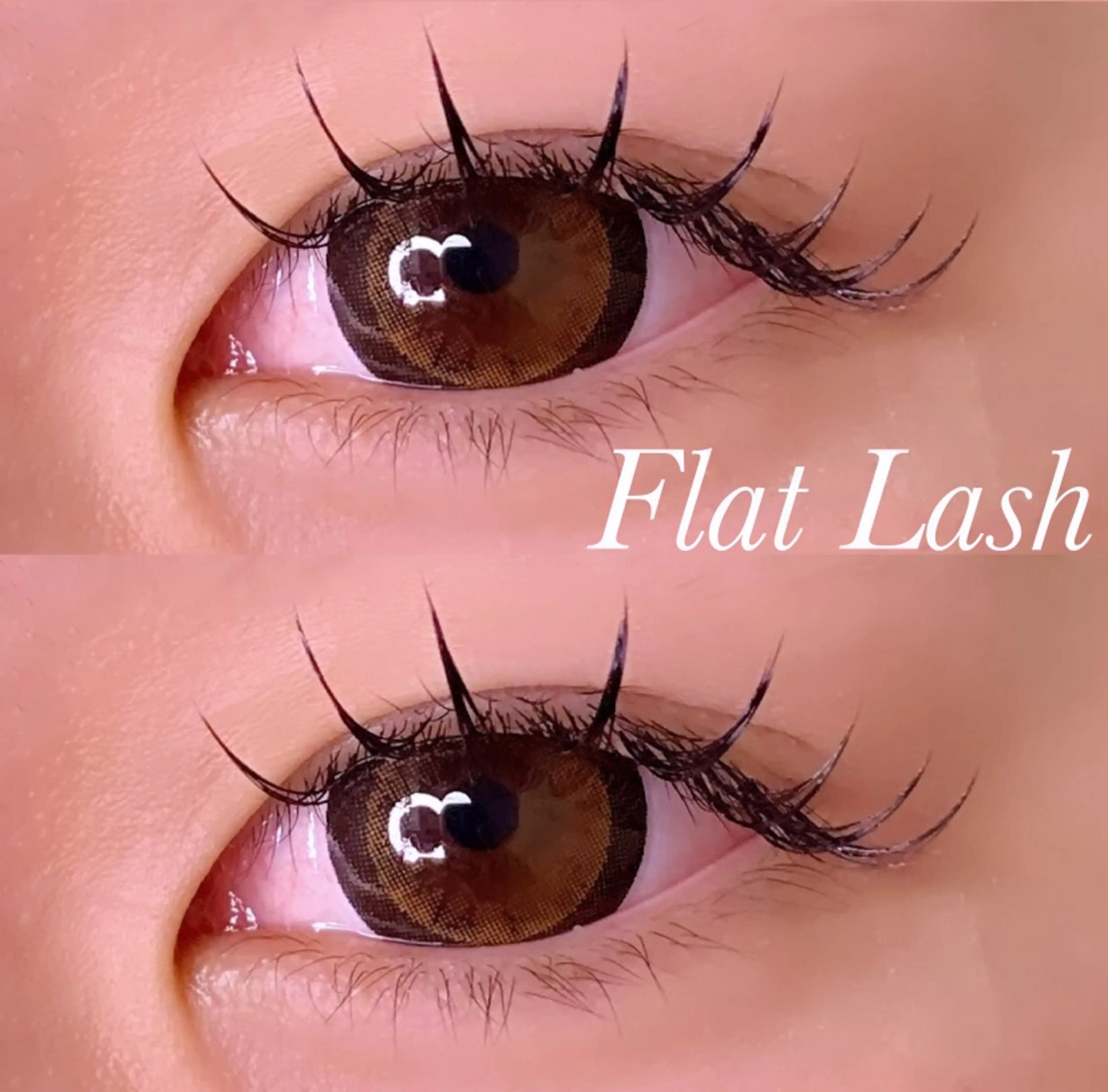 マツエク・マツパ Cカール フラットラッシュ マツエク Ayumi.pro 🍆N《4階》のマツエク・マツパデザイン