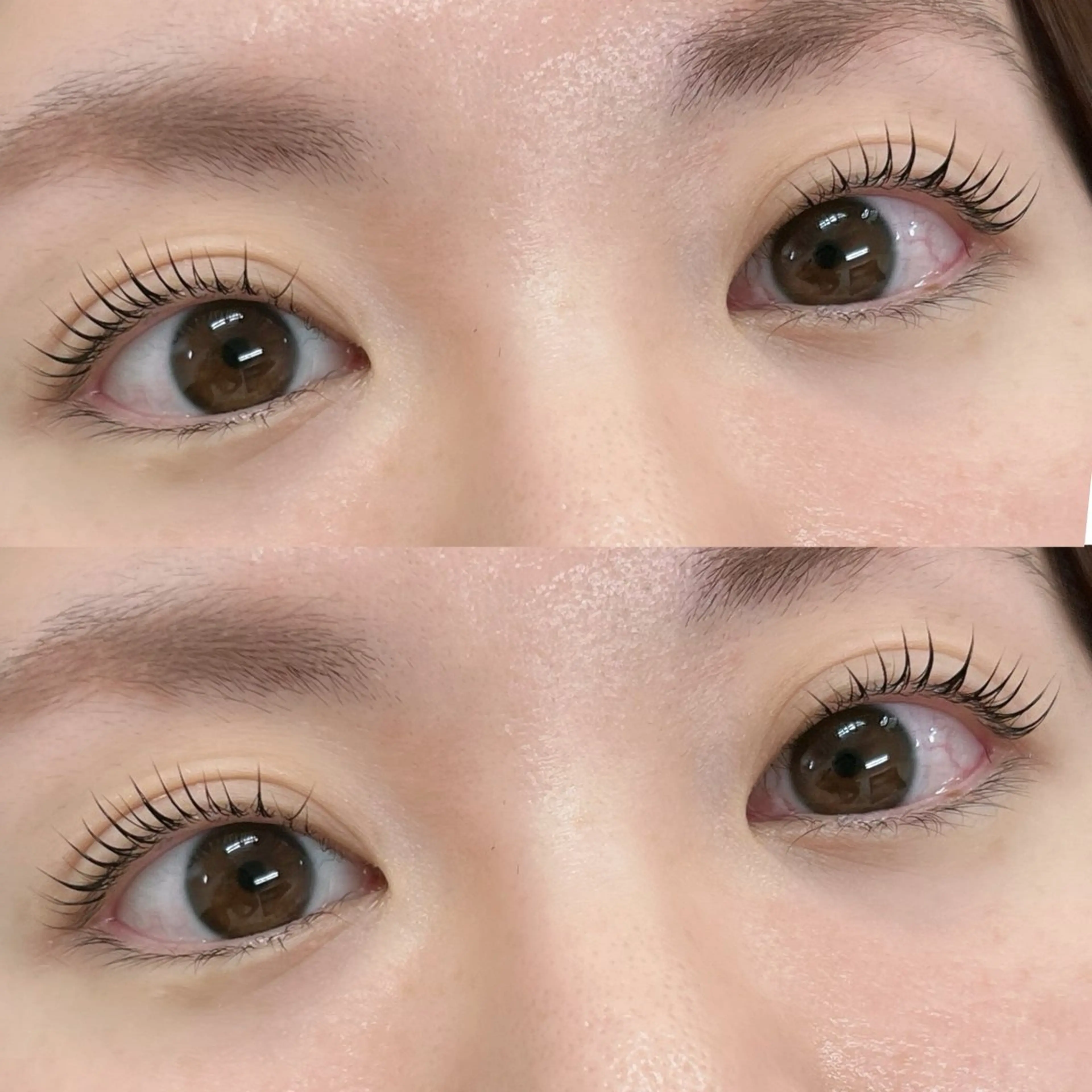 【12月限定クーポン】まつ毛パーマ 上のみ🪄🫧(亀戸/錦糸町/小岩) #ラッシュリフトの写真