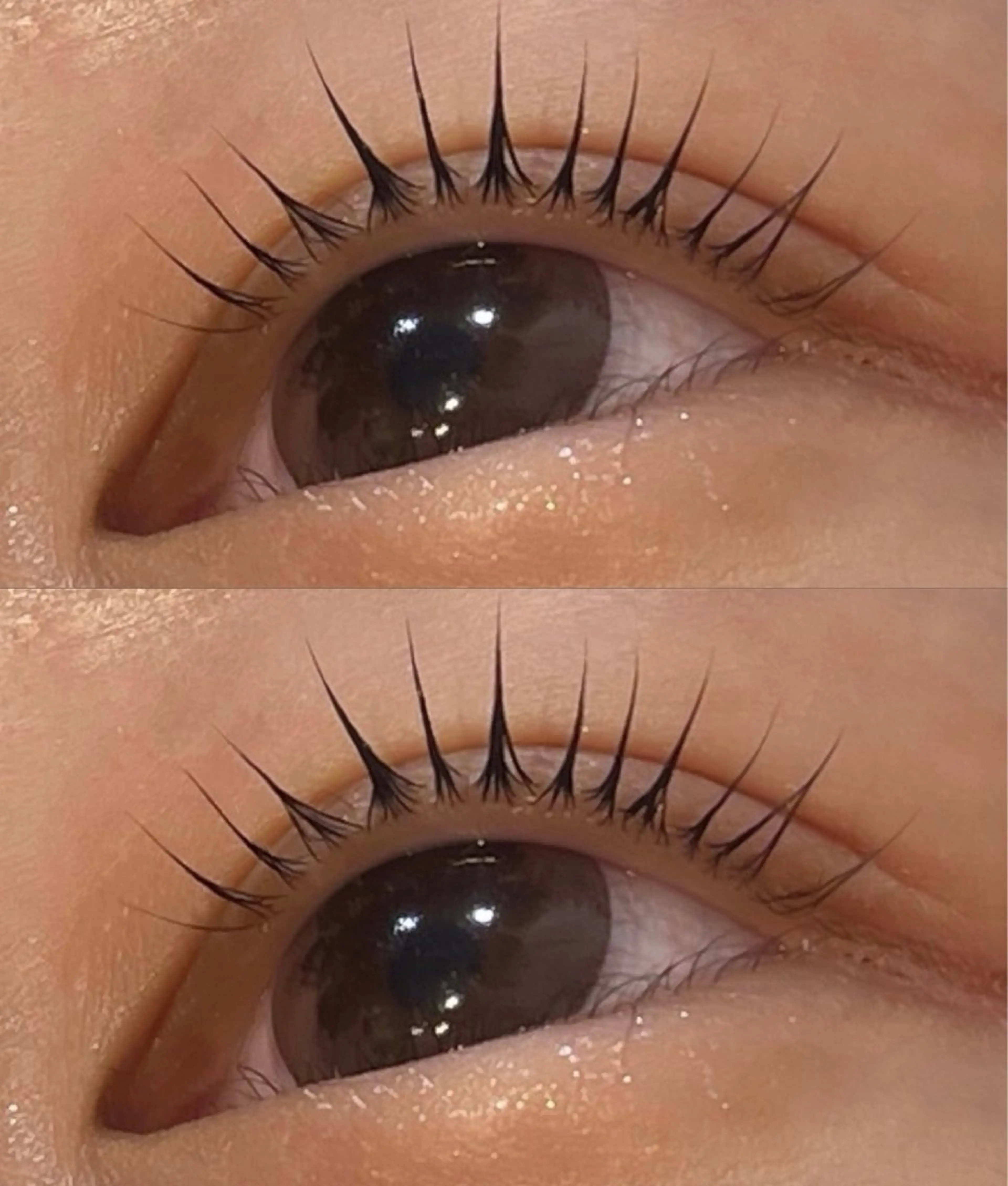 マツパ🪽‪コーティング込みの写真