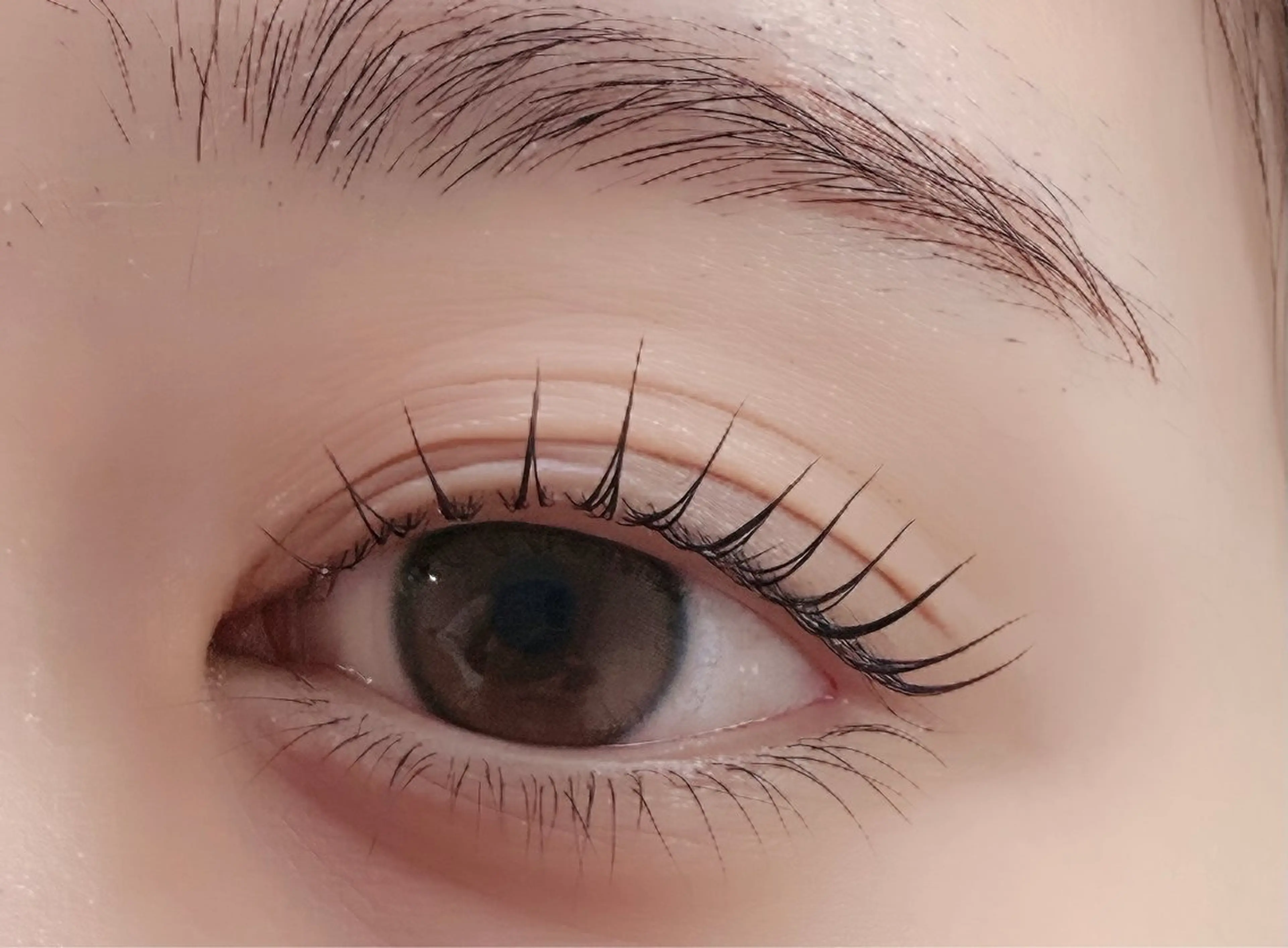 マツエク・マツパ 韓国風マツエク マツパ ルチア所属・ルチア💞 luciaのマツエク・マツパデザイン