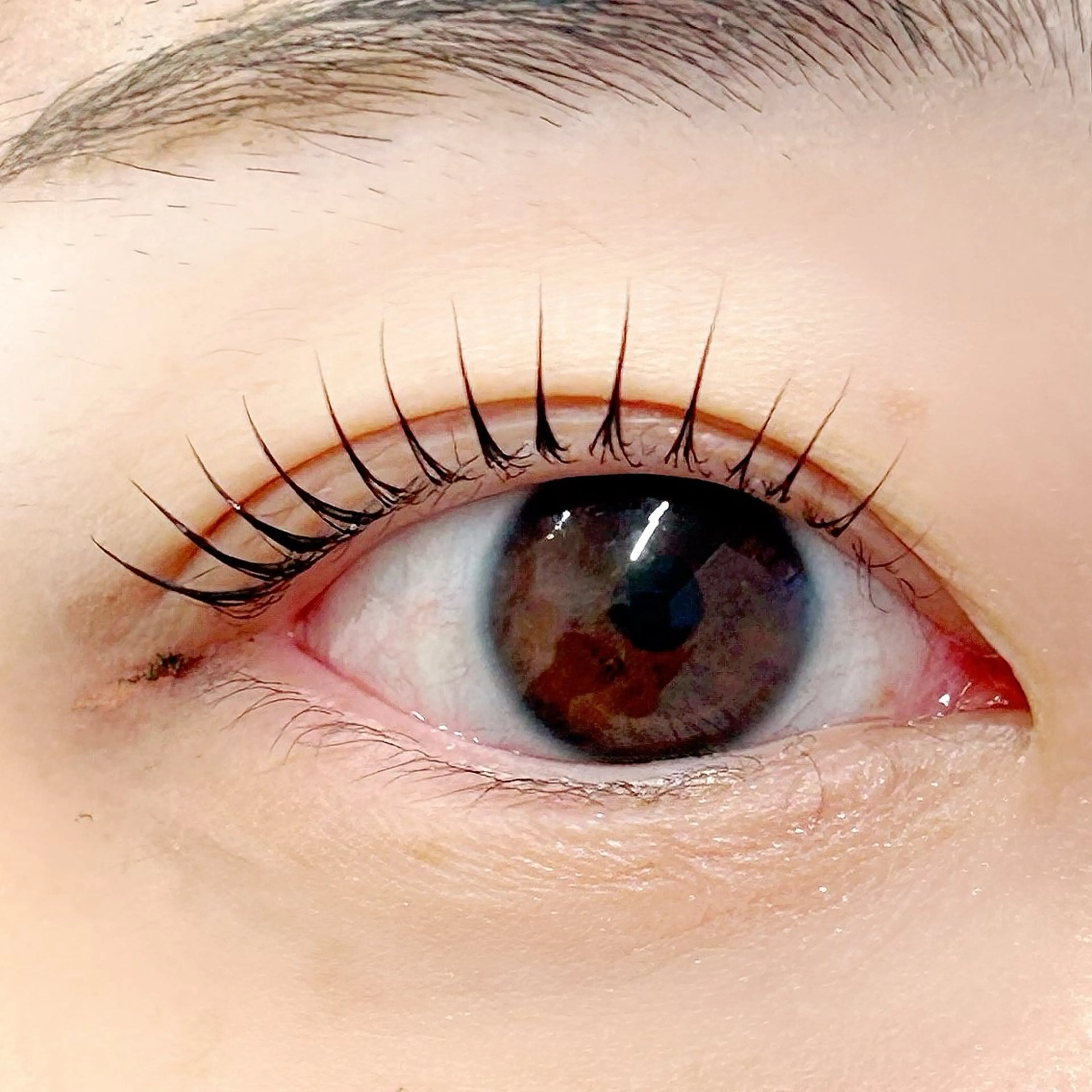 マツエク・マツパ パリジェンヌラッシュリフト 一重×まつ毛パーマ BellFlower Aki(眉・まつげ)のマツエク・マツパデザイン