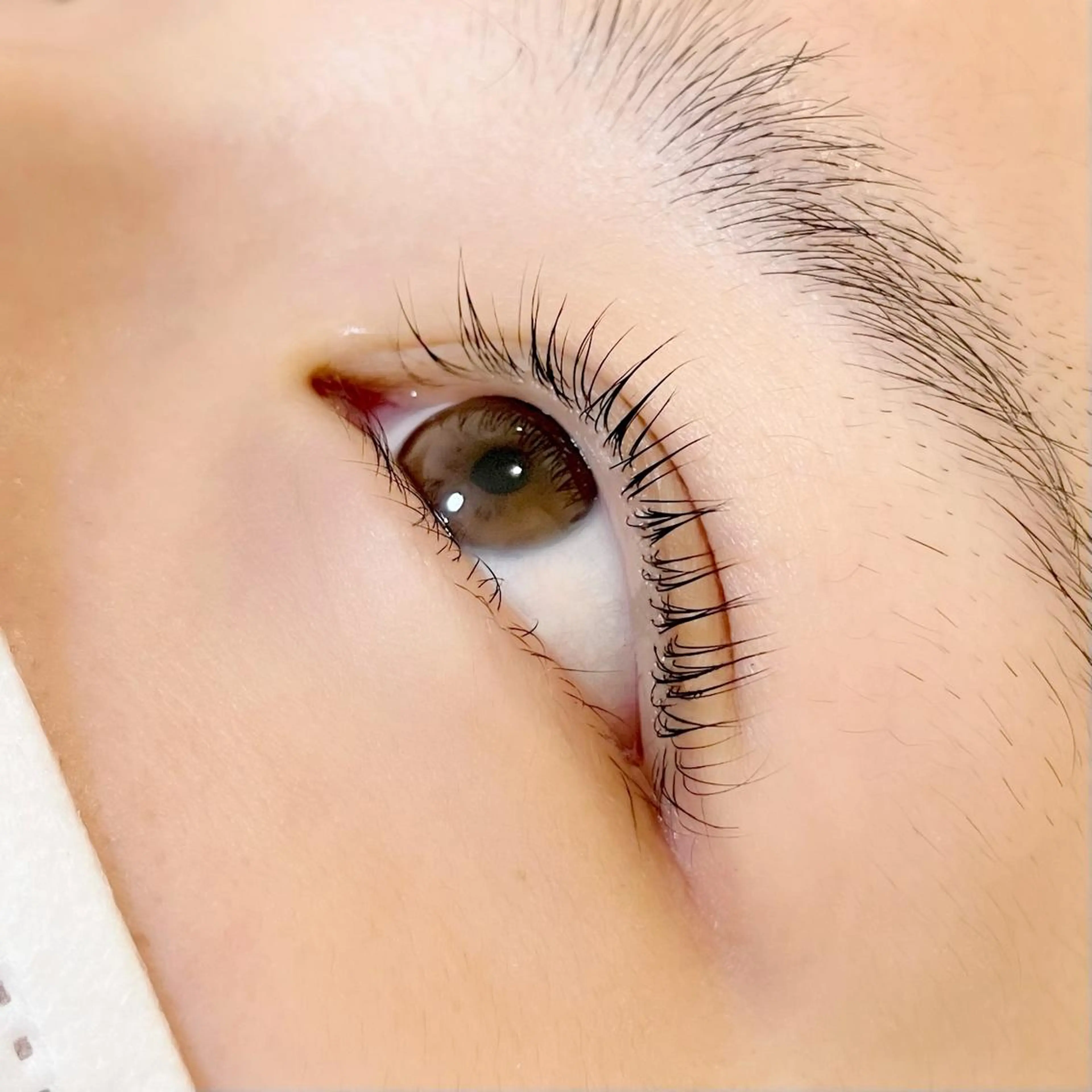 マツエク・マツパ peep八田店 マホ🐾のマツエク・マツパデザイン