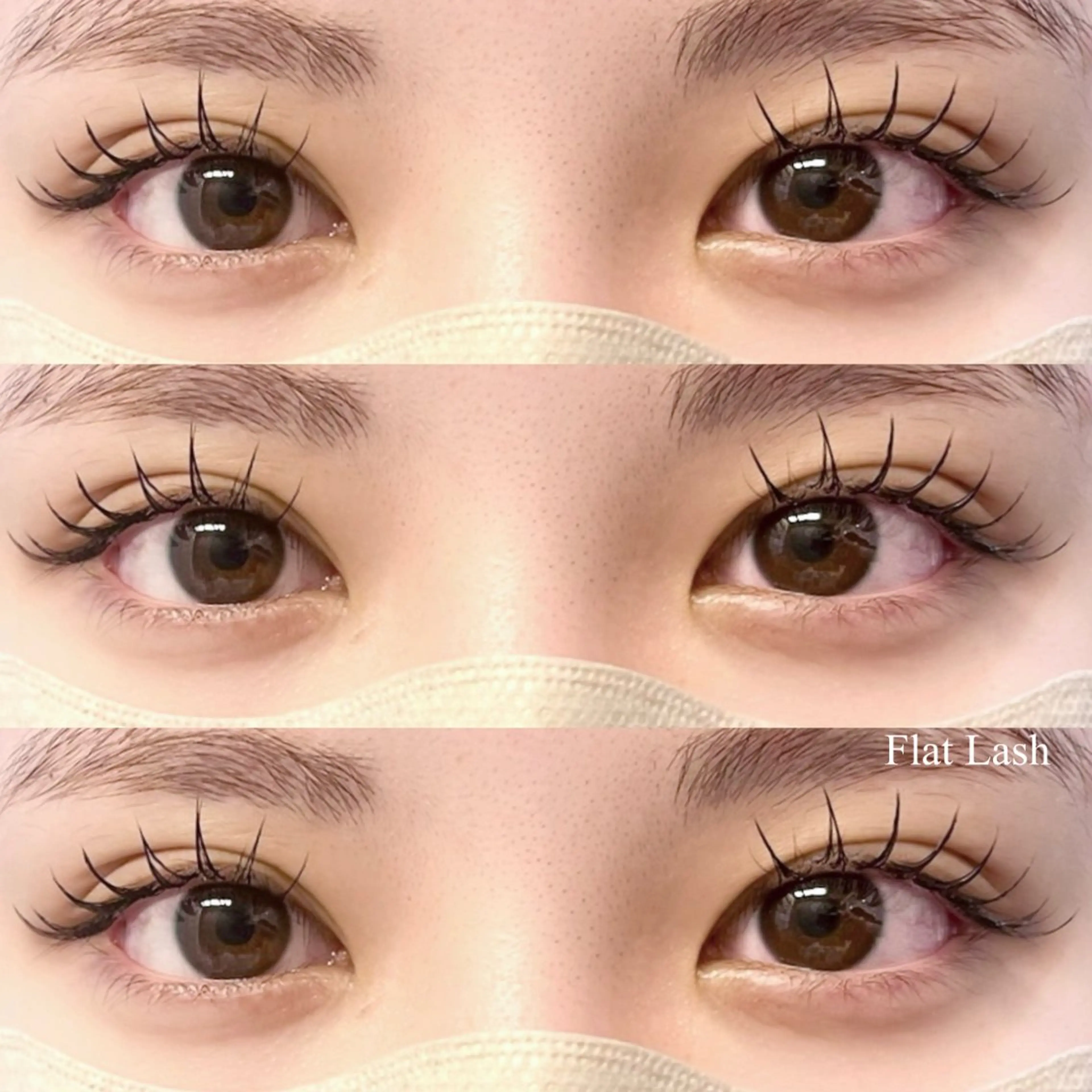 《アイシャンプー付き🫧》🦋フラットラッシュ80本🦋の写真