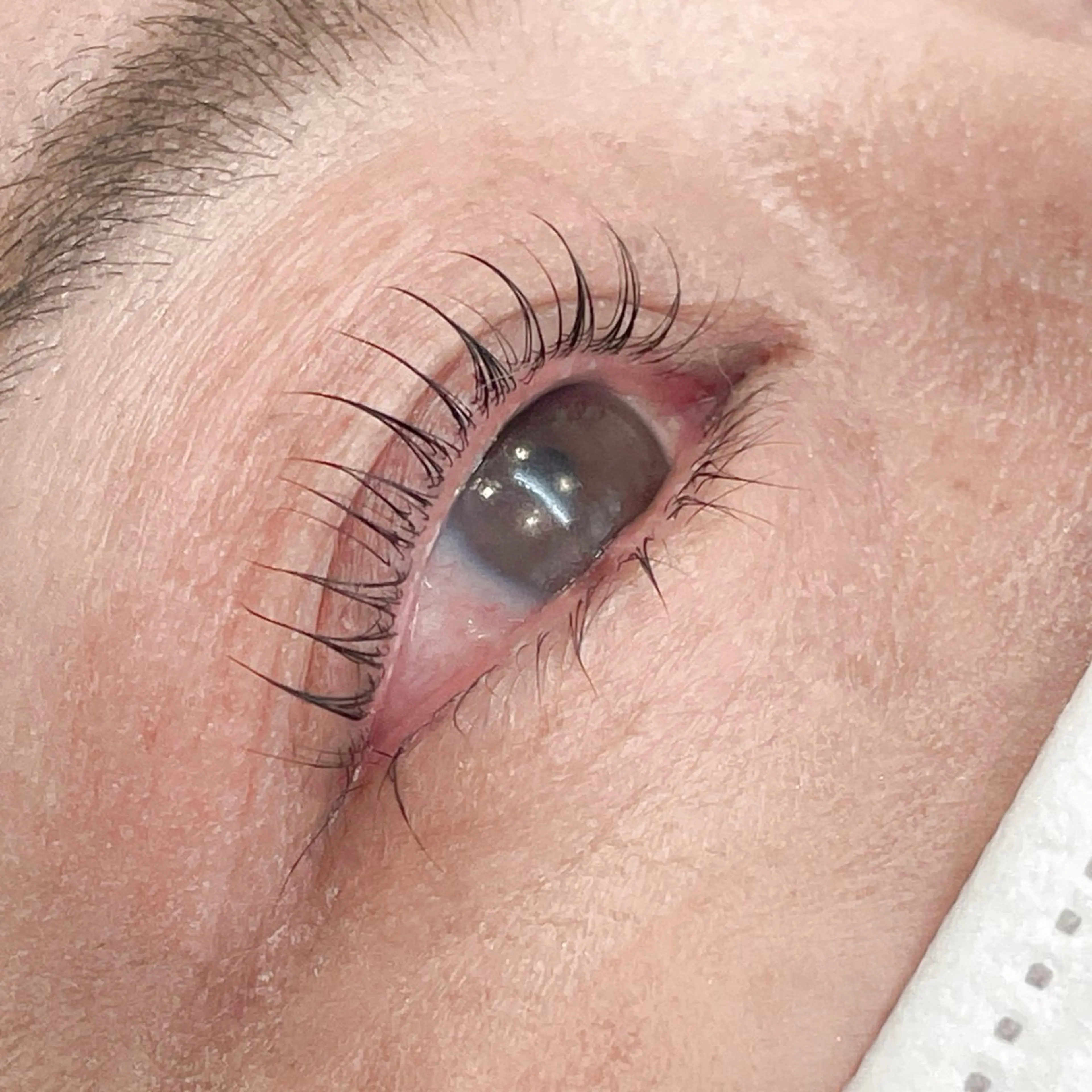 マツエク・マツパ 美容室ange 相生店所属・疋田 心優のヘアスタイル