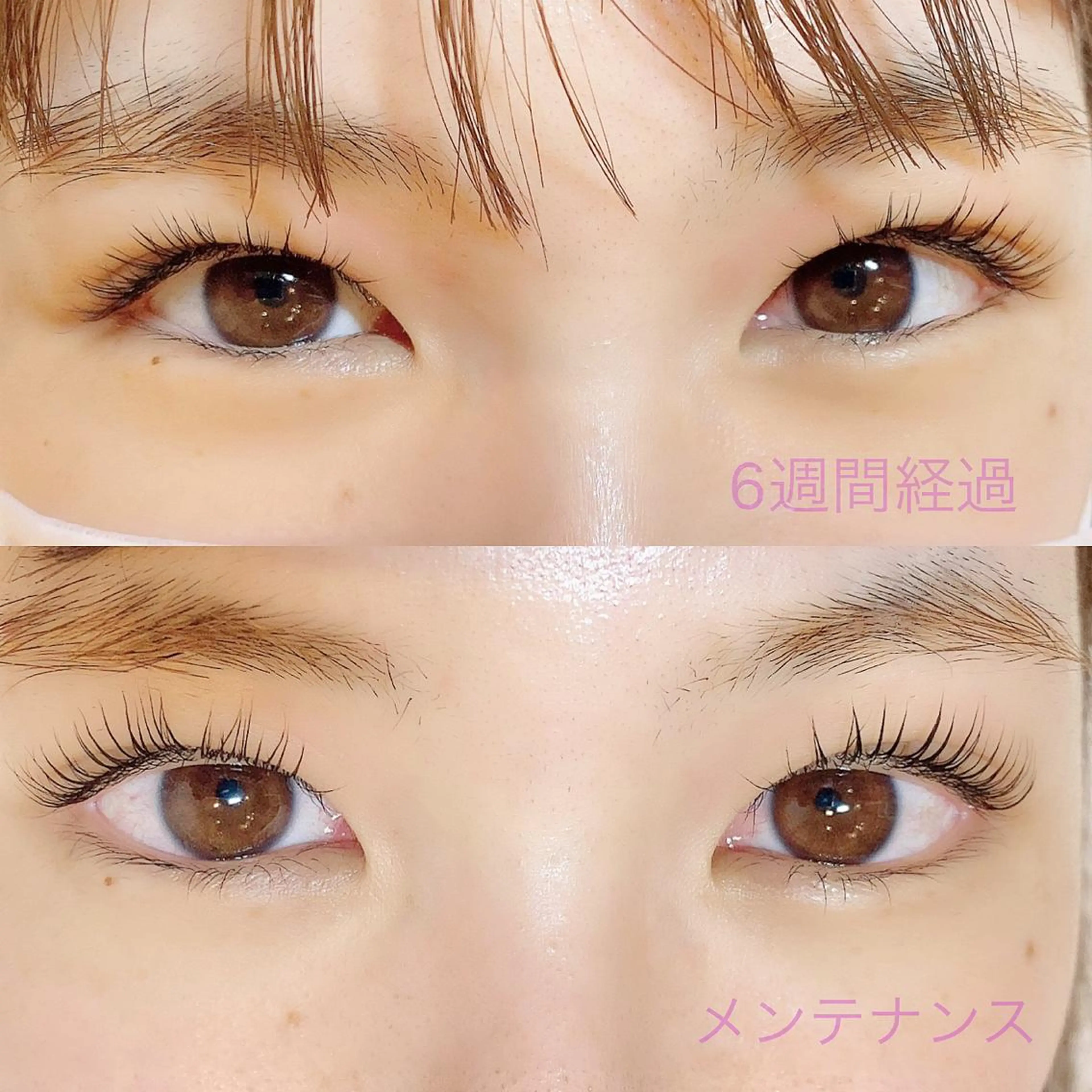 マツエク・マツパ パリジェンヌラッシュリフト 【ｉｒｏｋａ】 AYAKAのマツエク・マツパデザイン