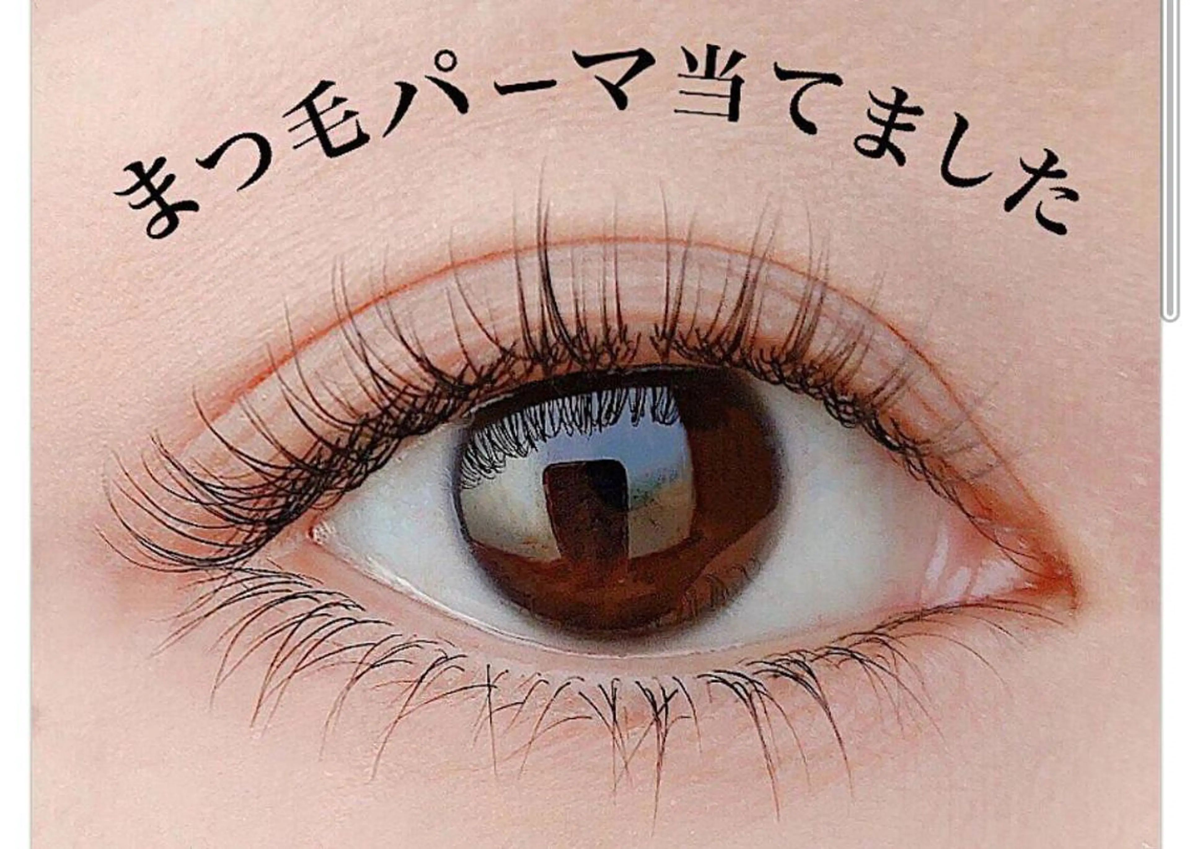 マツエク・マツパ プレモダン 鶴舞店のマツエク・マツパデザイン